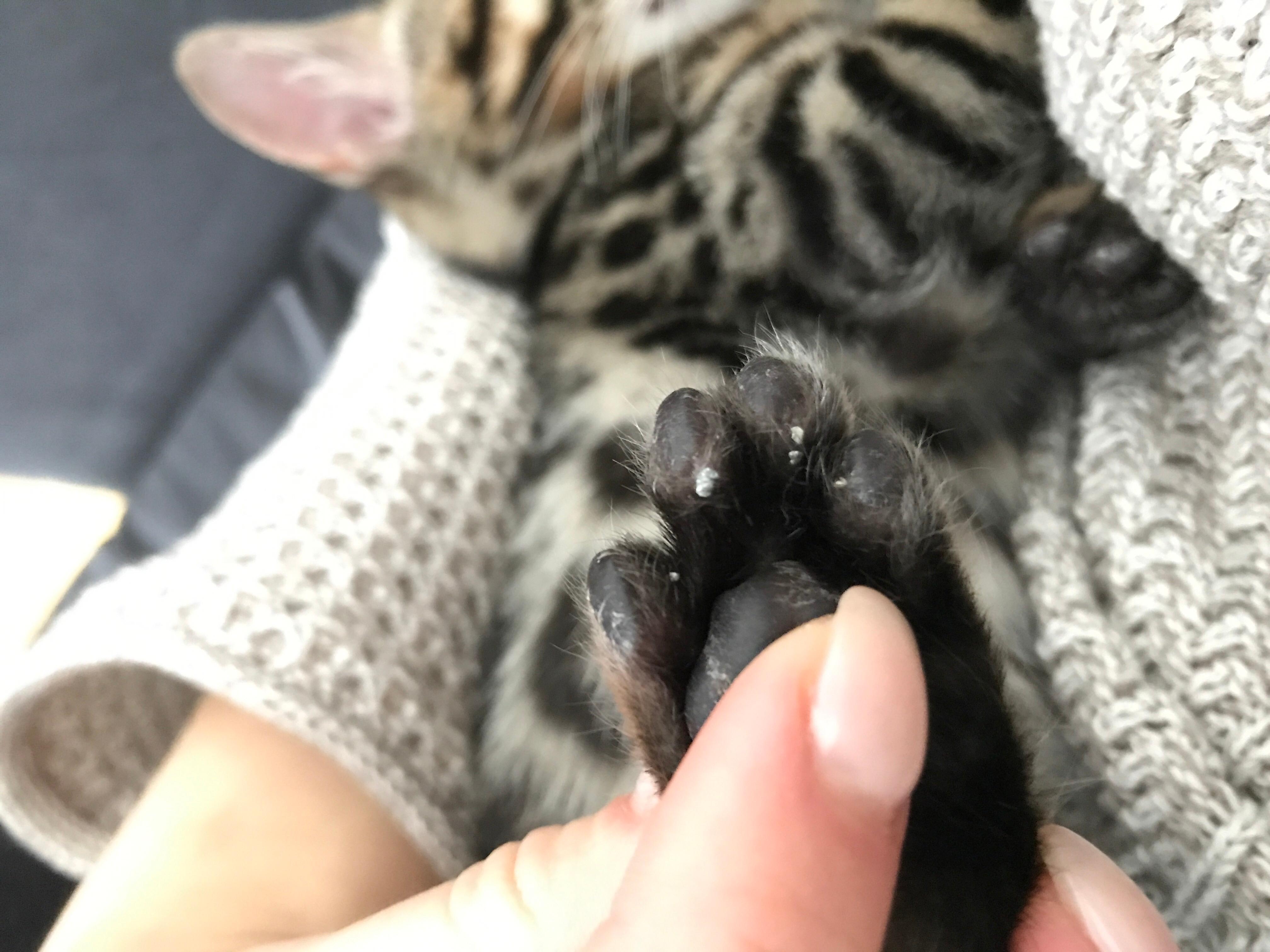 Question details sensitive content