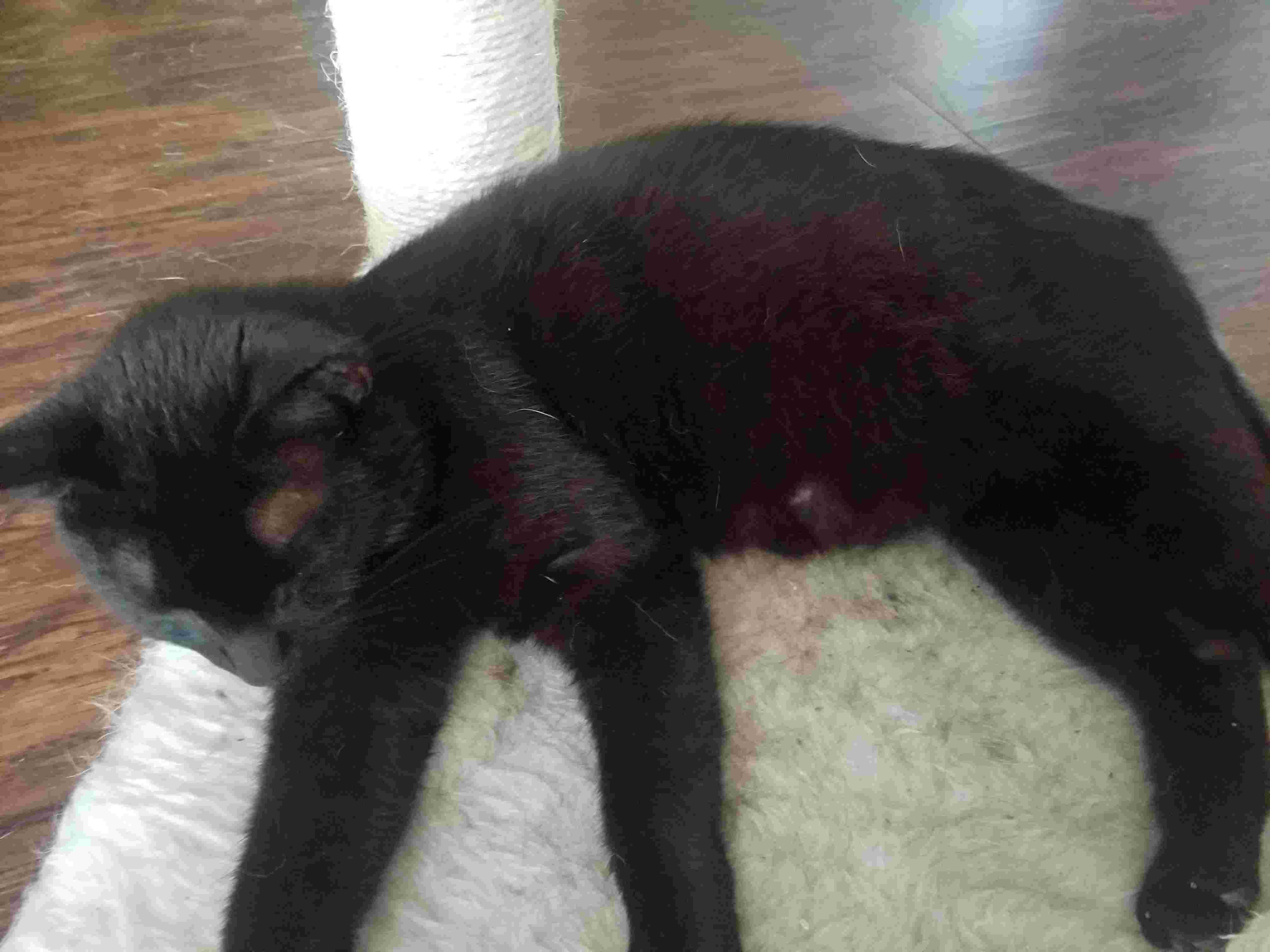 Question details sensitive content