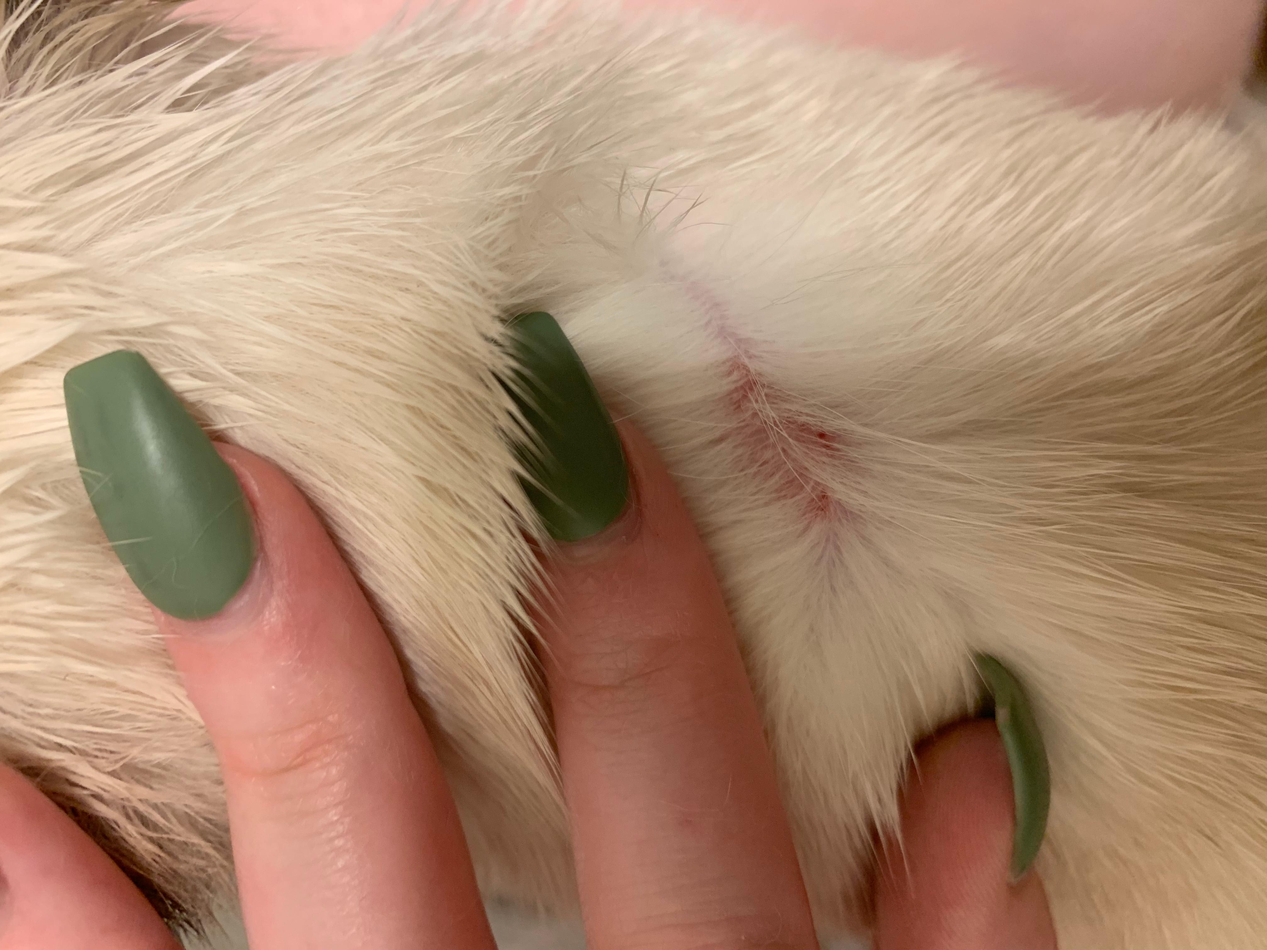 Question details sensitive content