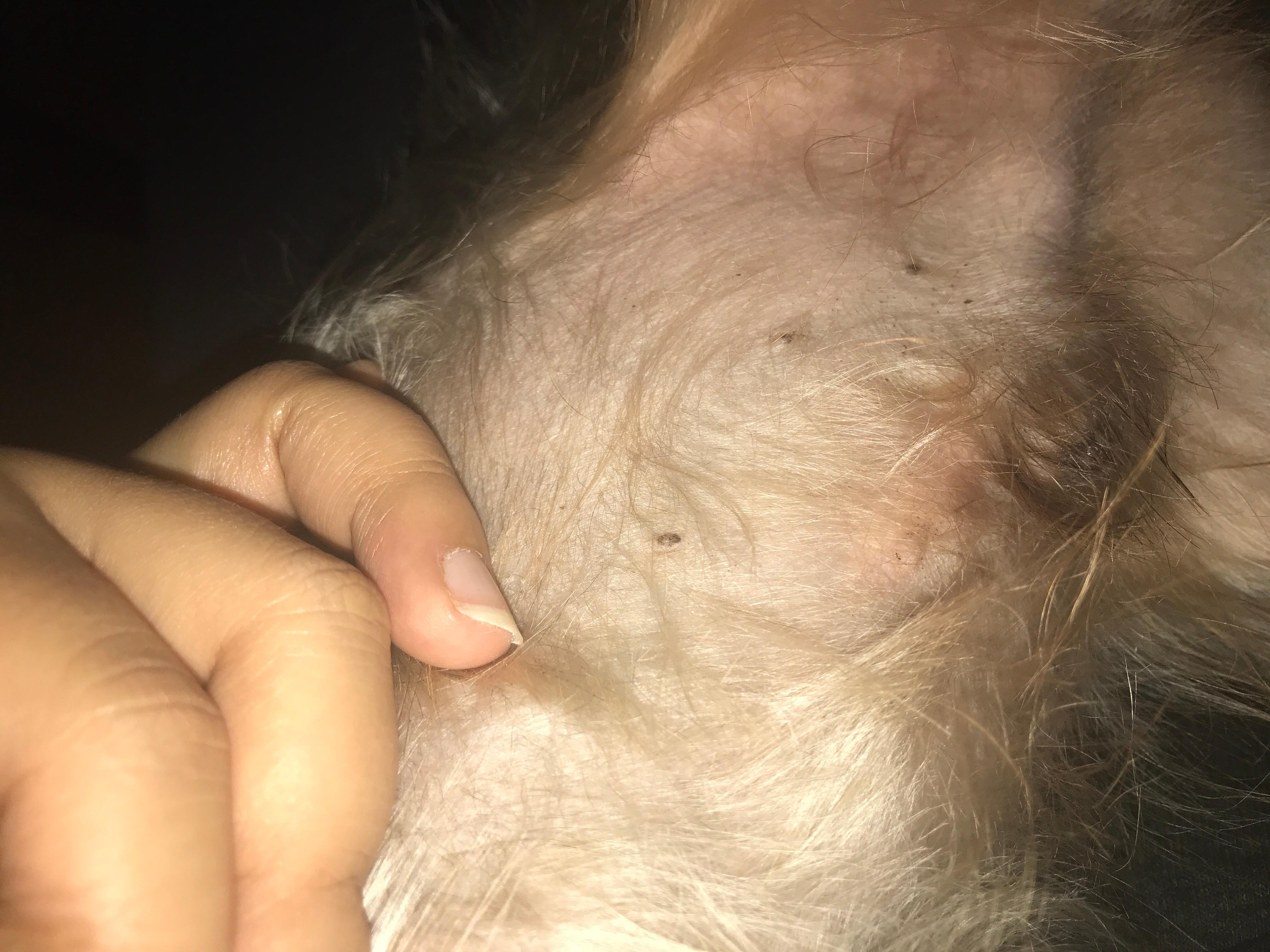 Question details sensitive content