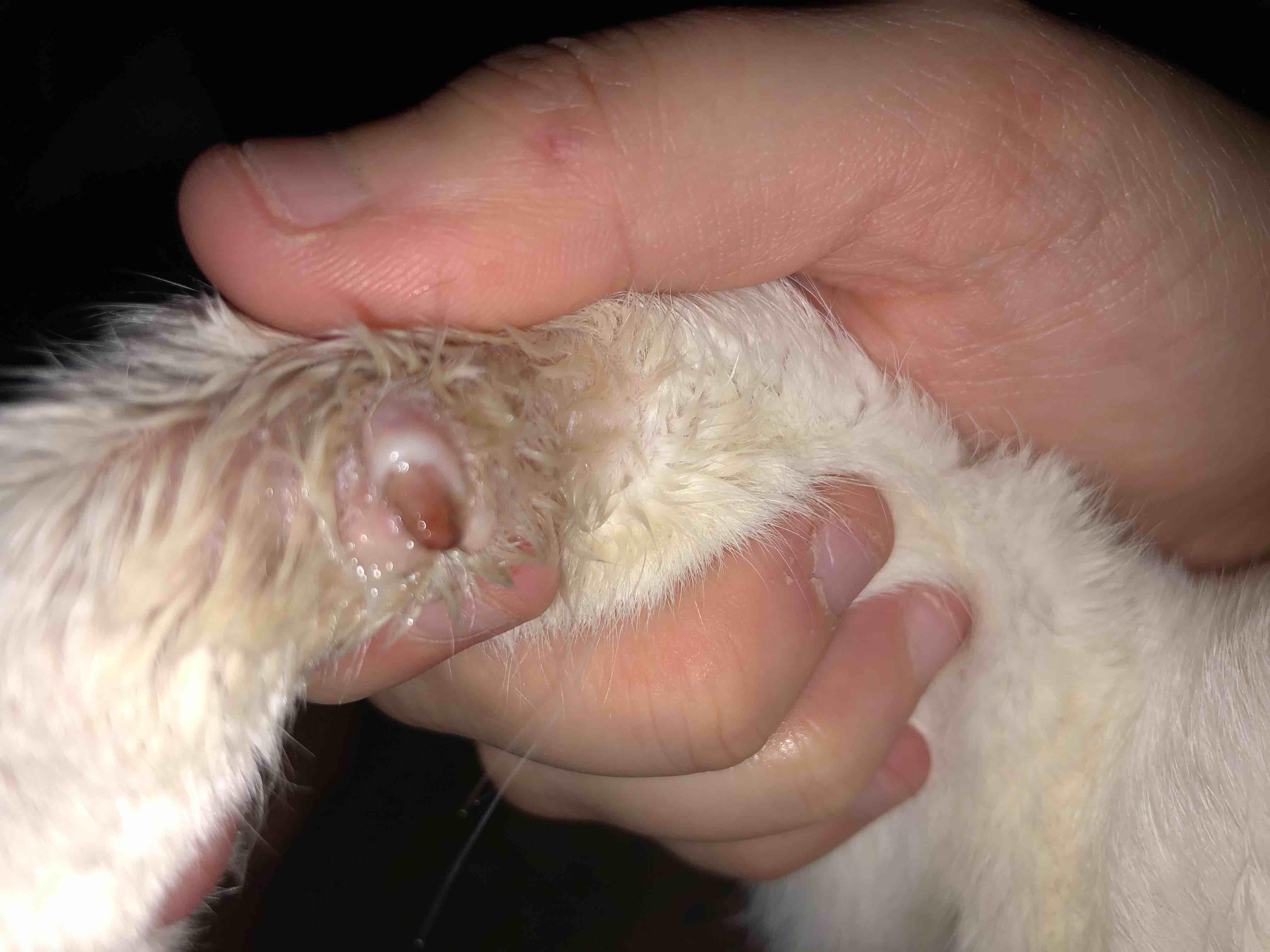 Question details sensitive content