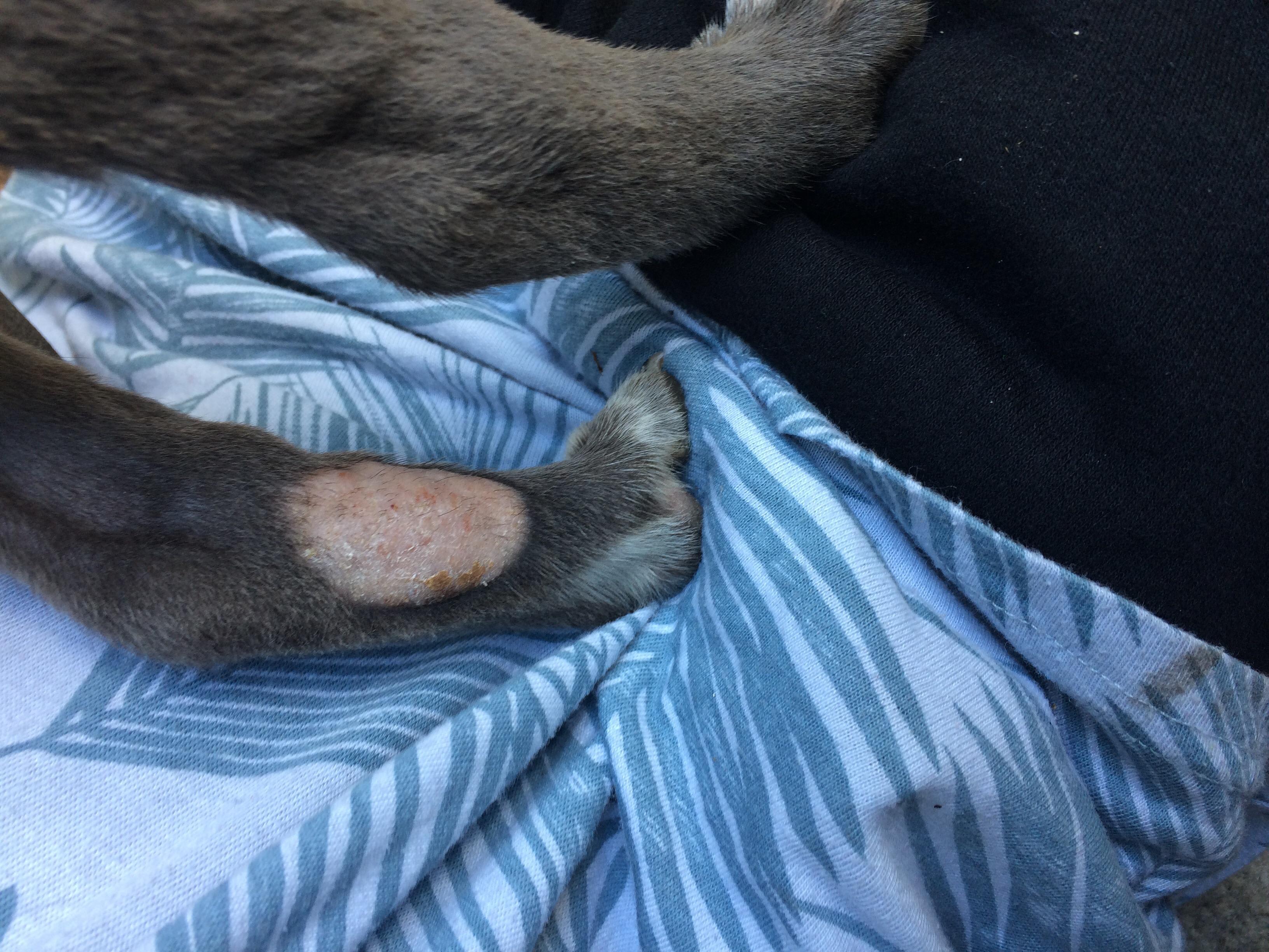 Question details sensitive content