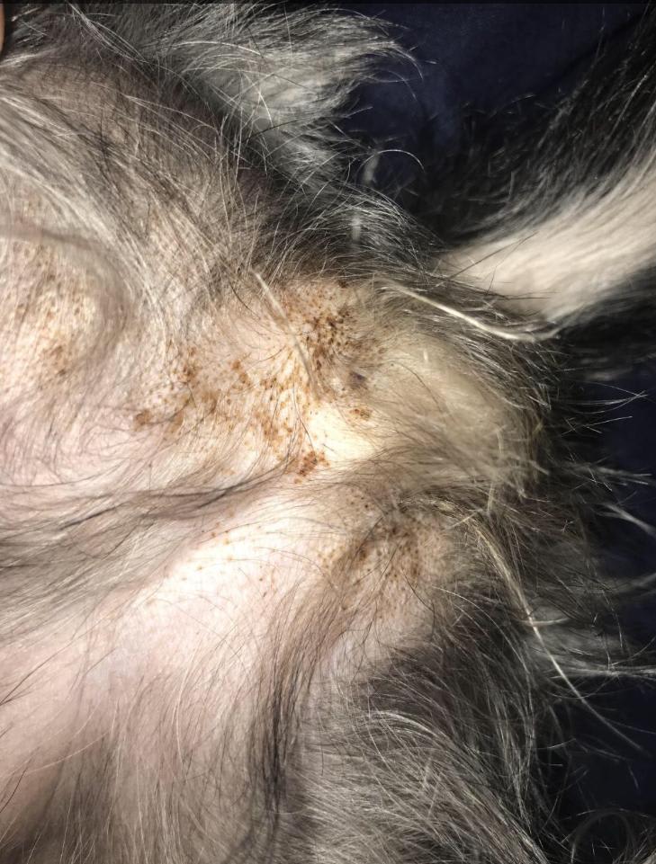 Question details sensitive content