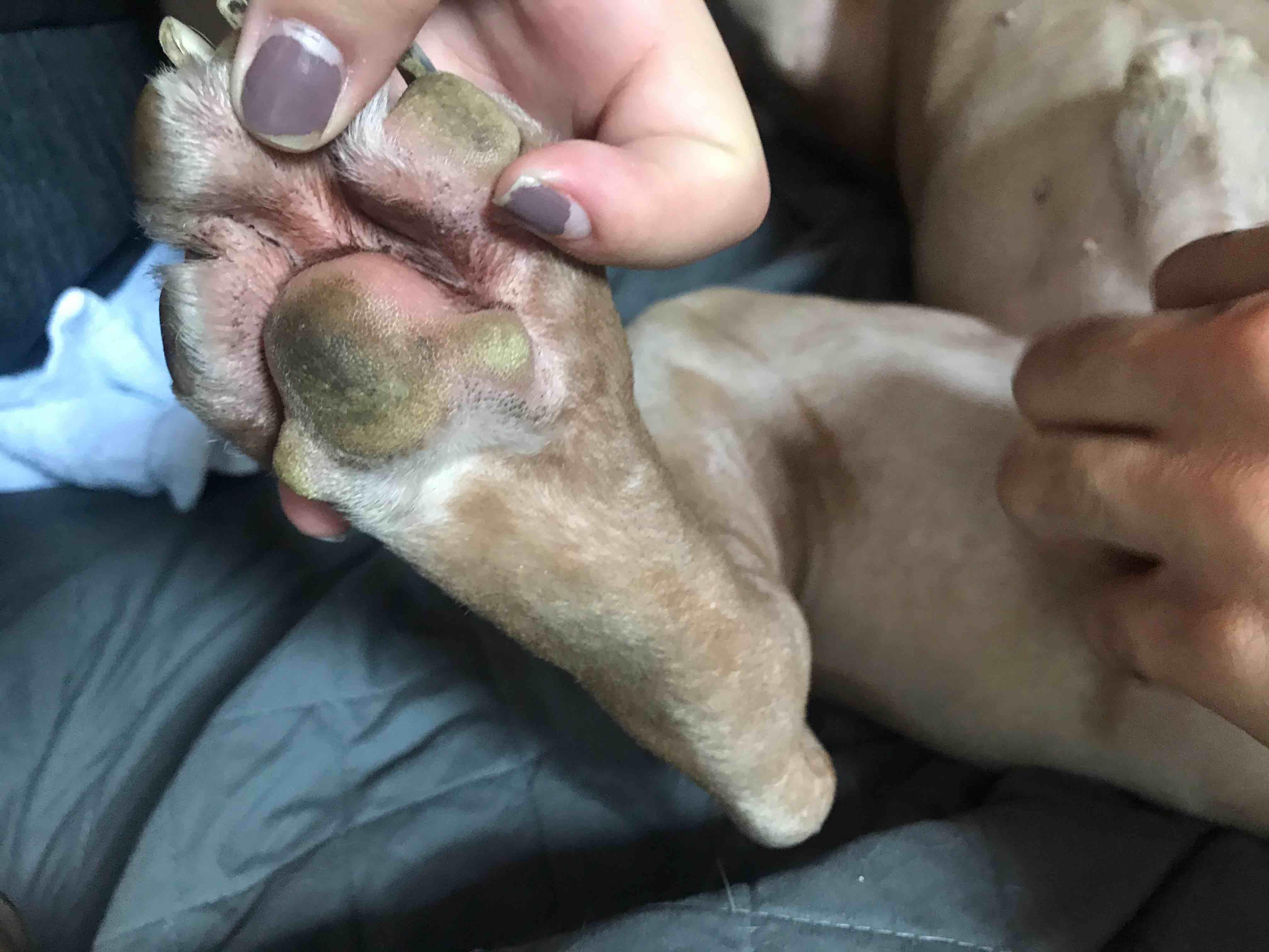 Question details sensitive content