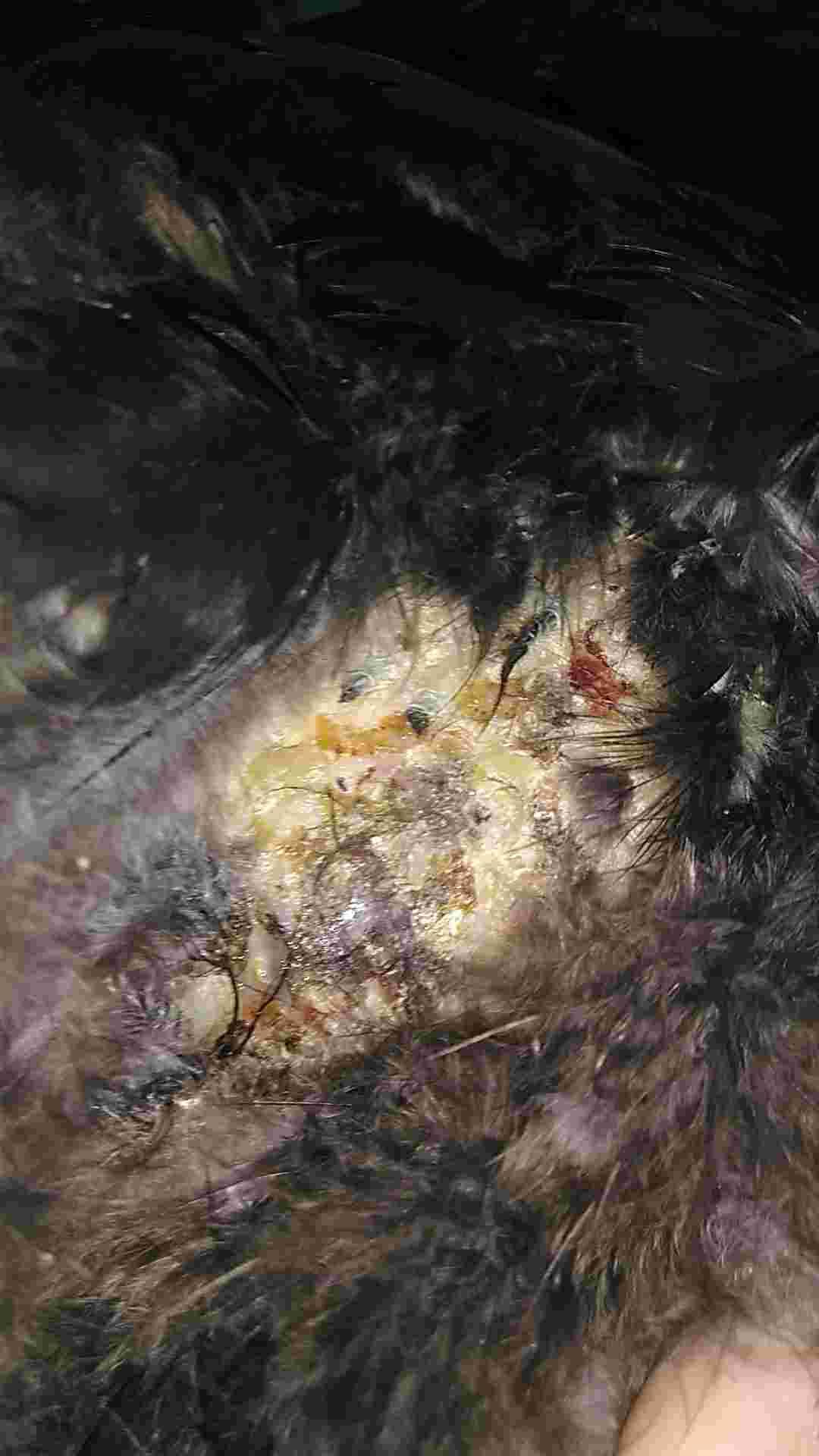 Question details sensitive content