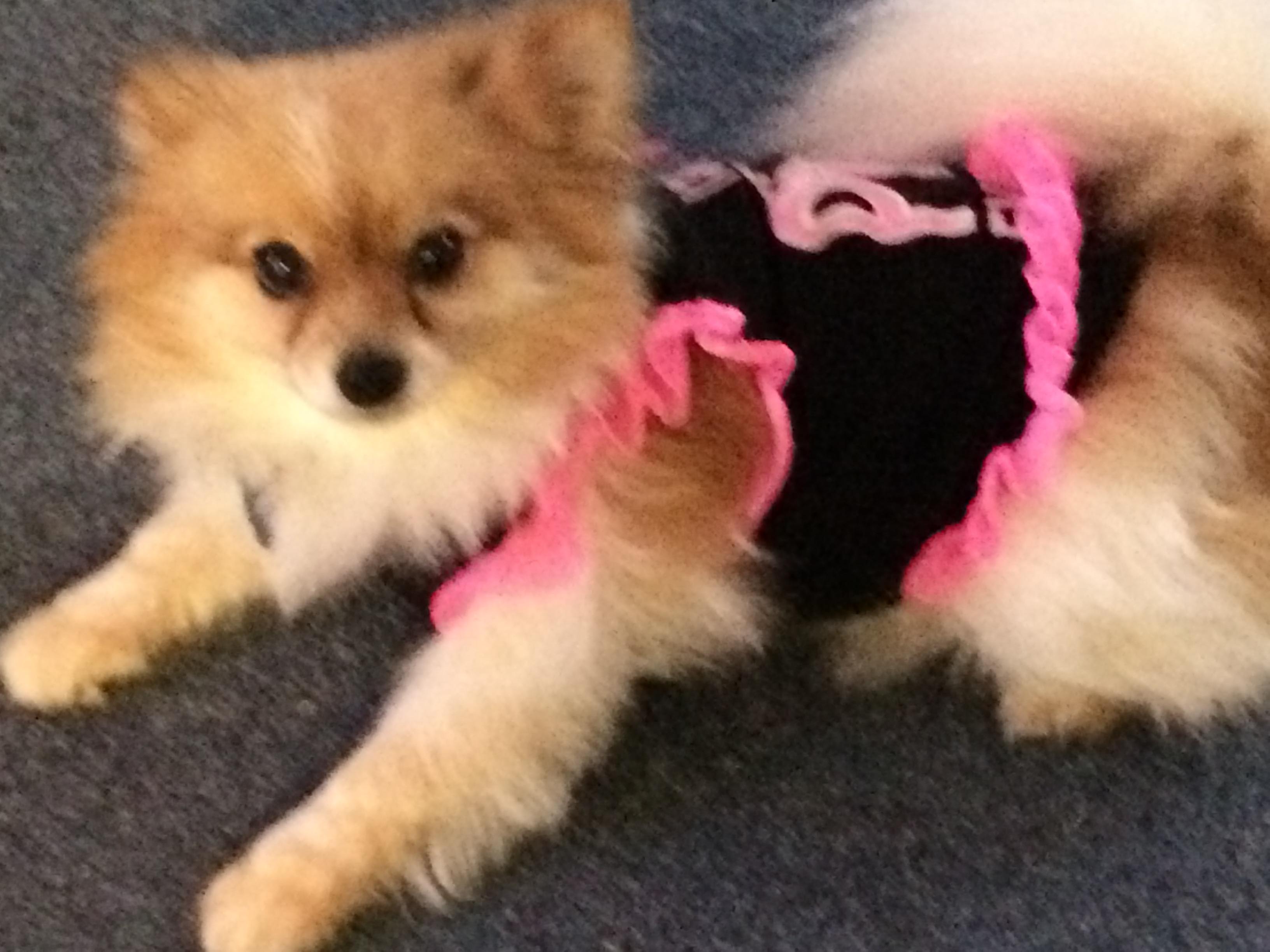 Question details sensitive content