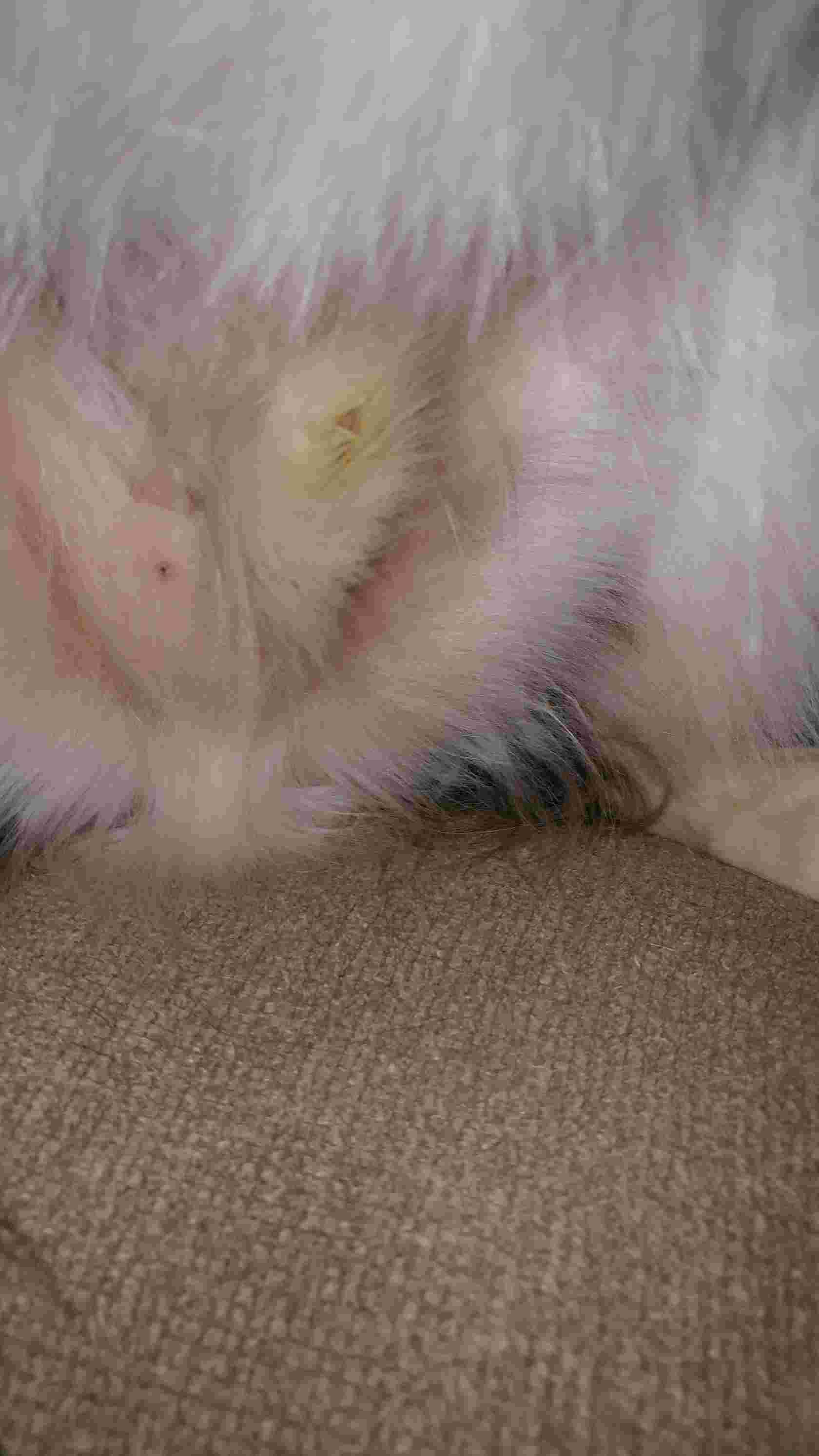 Question details sensitive content