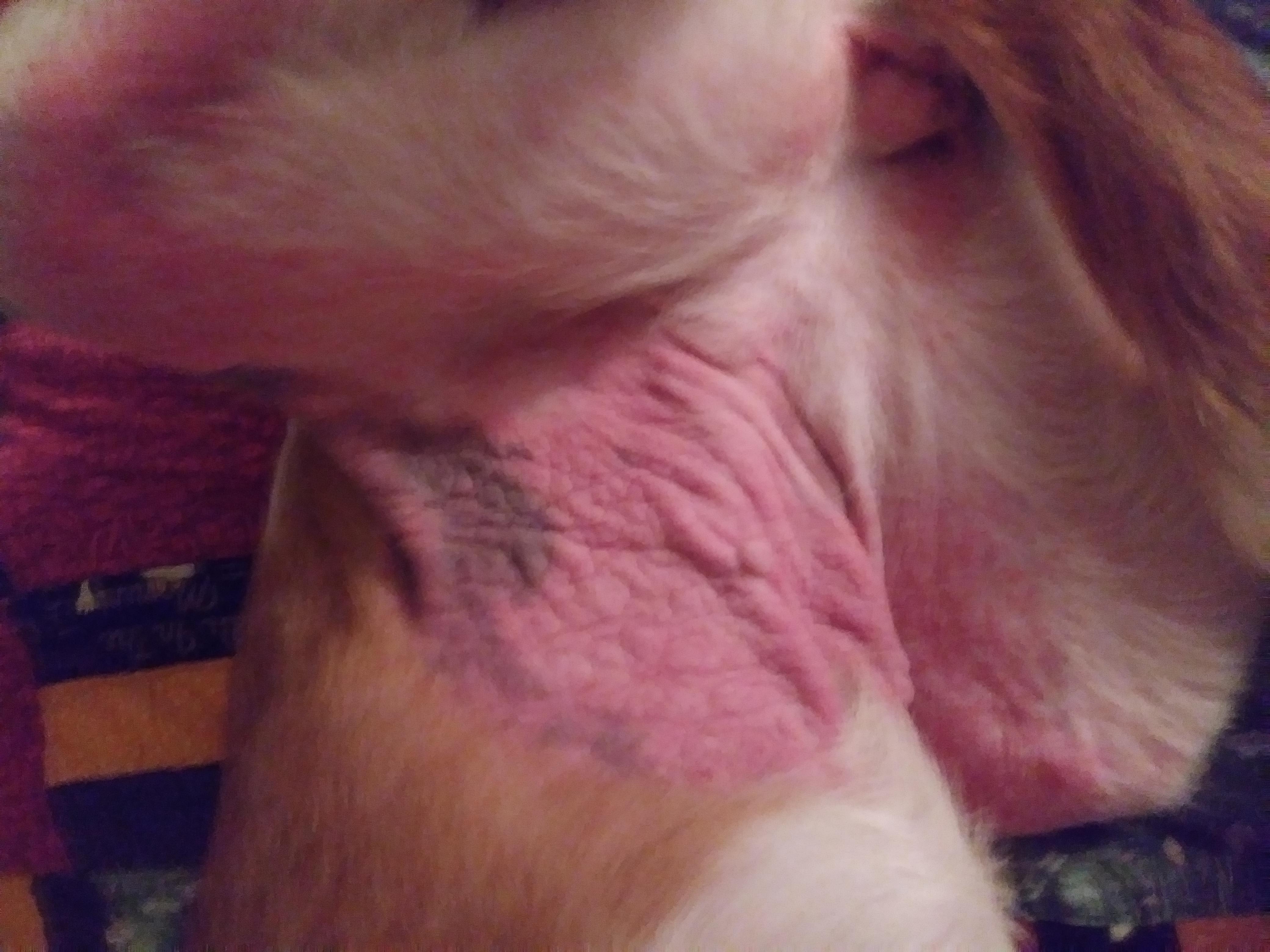 Question details sensitive content