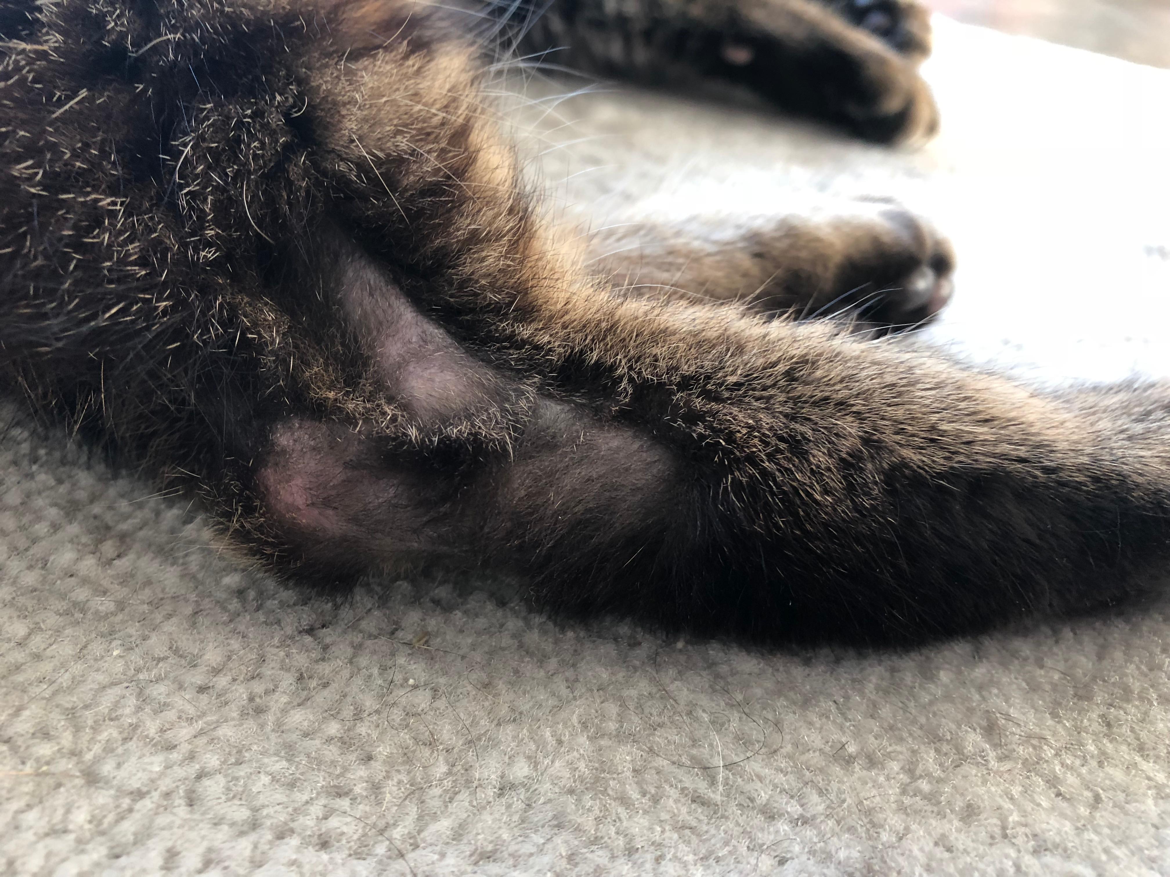 Question details sensitive content