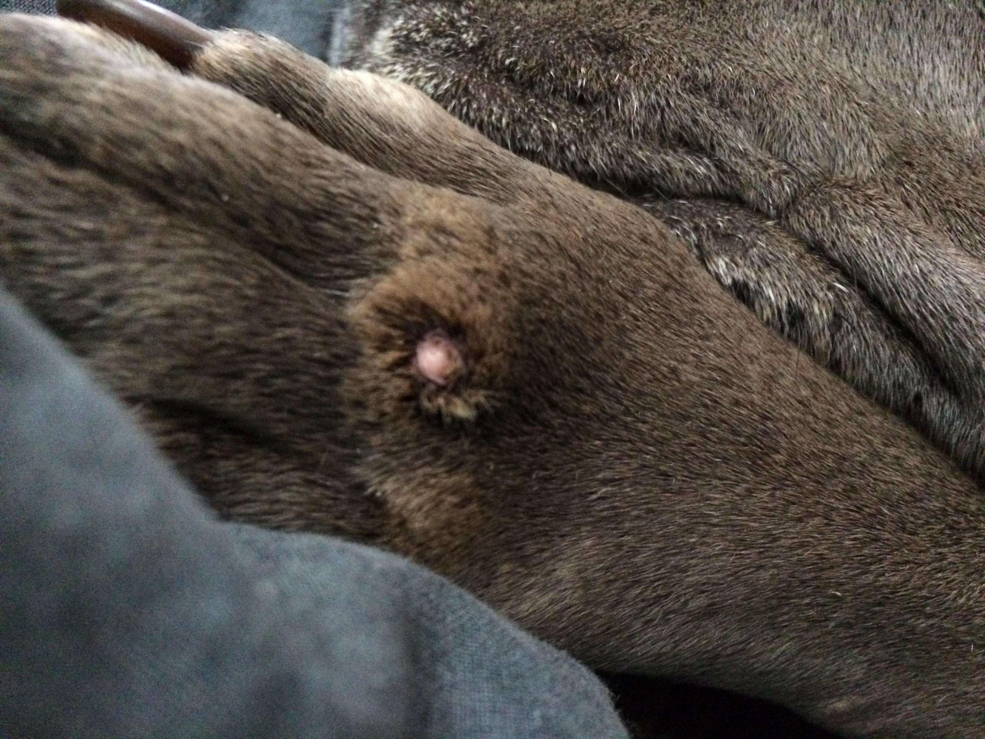 Question details sensitive content