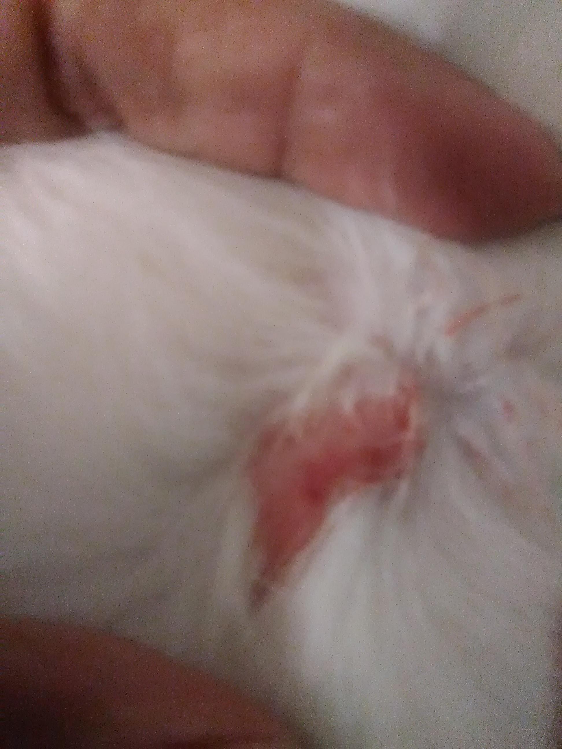 Question details sensitive content