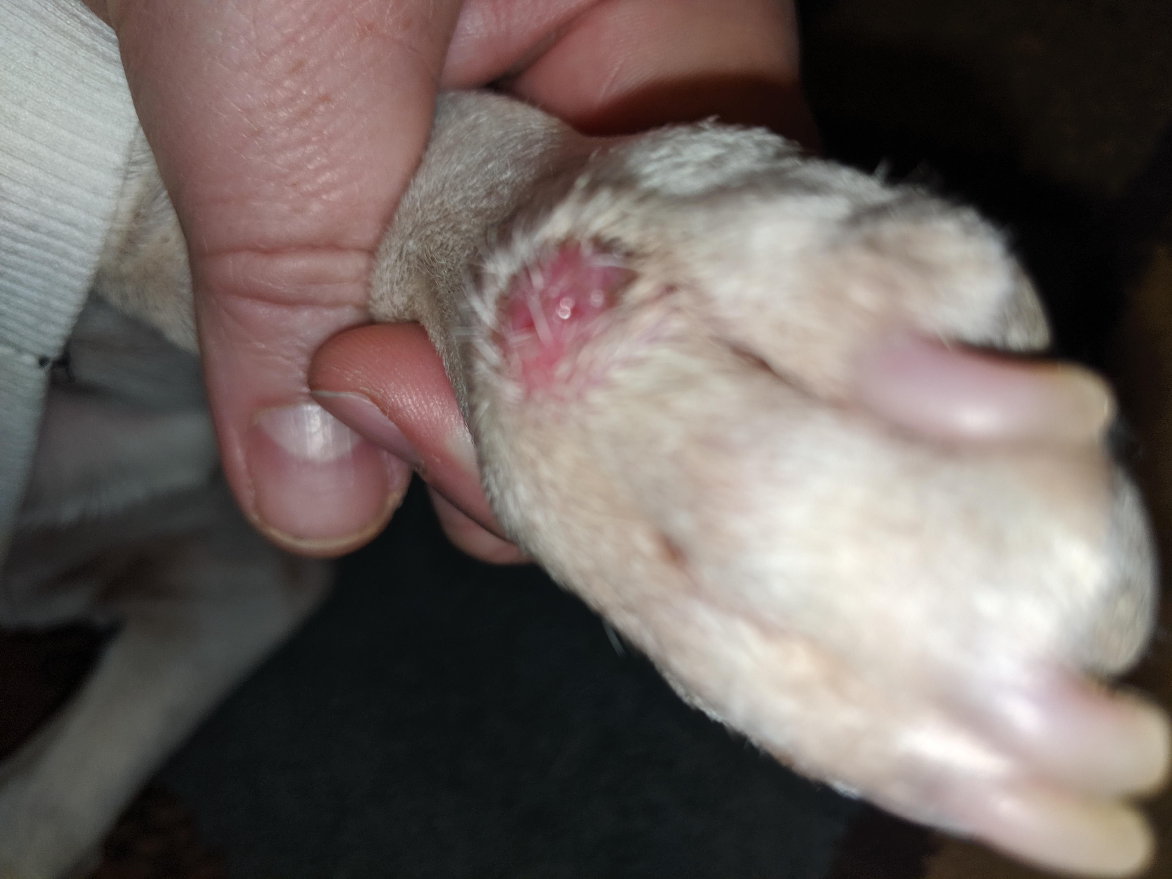 Question details sensitive content