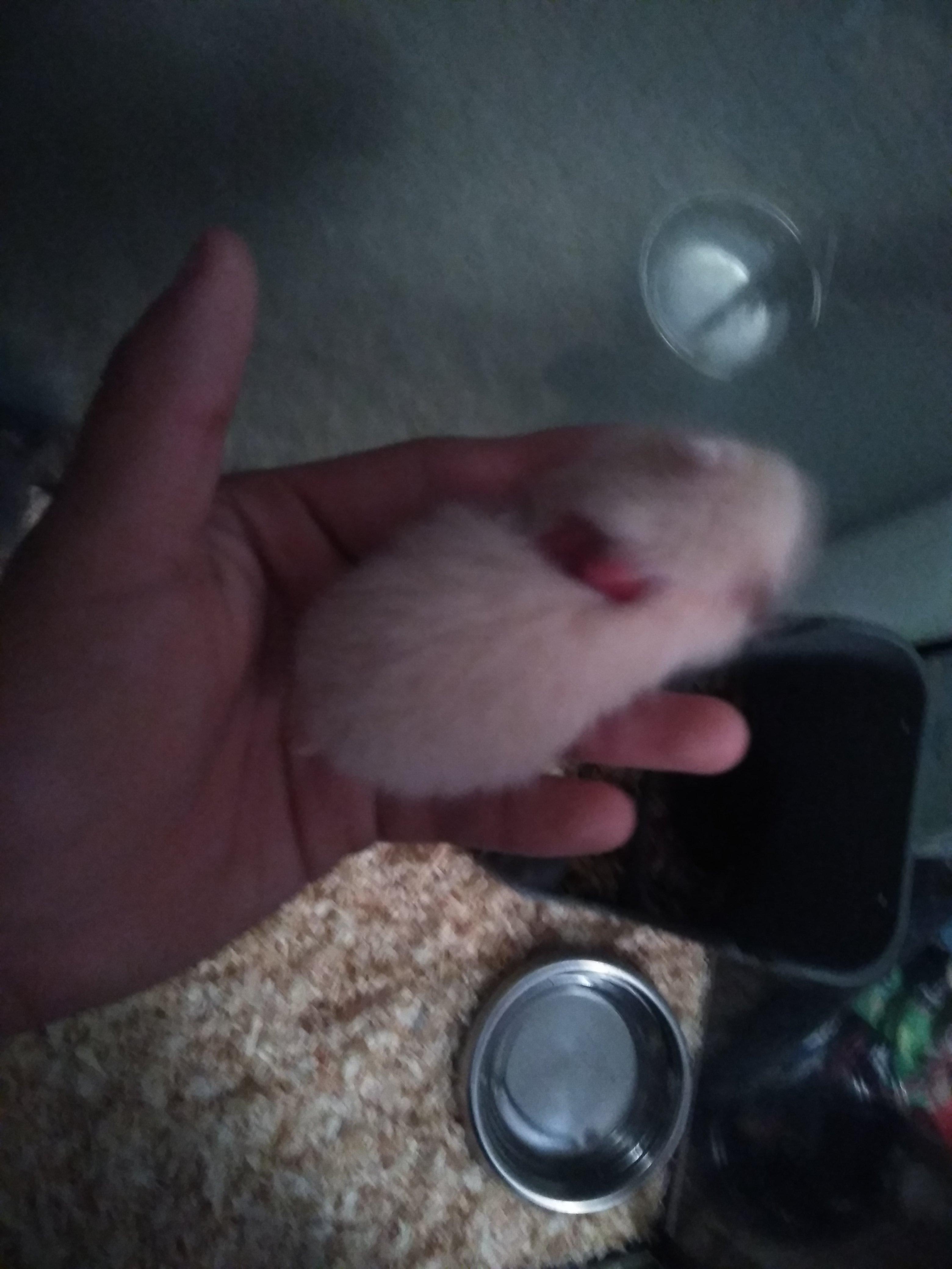 Question details sensitive content