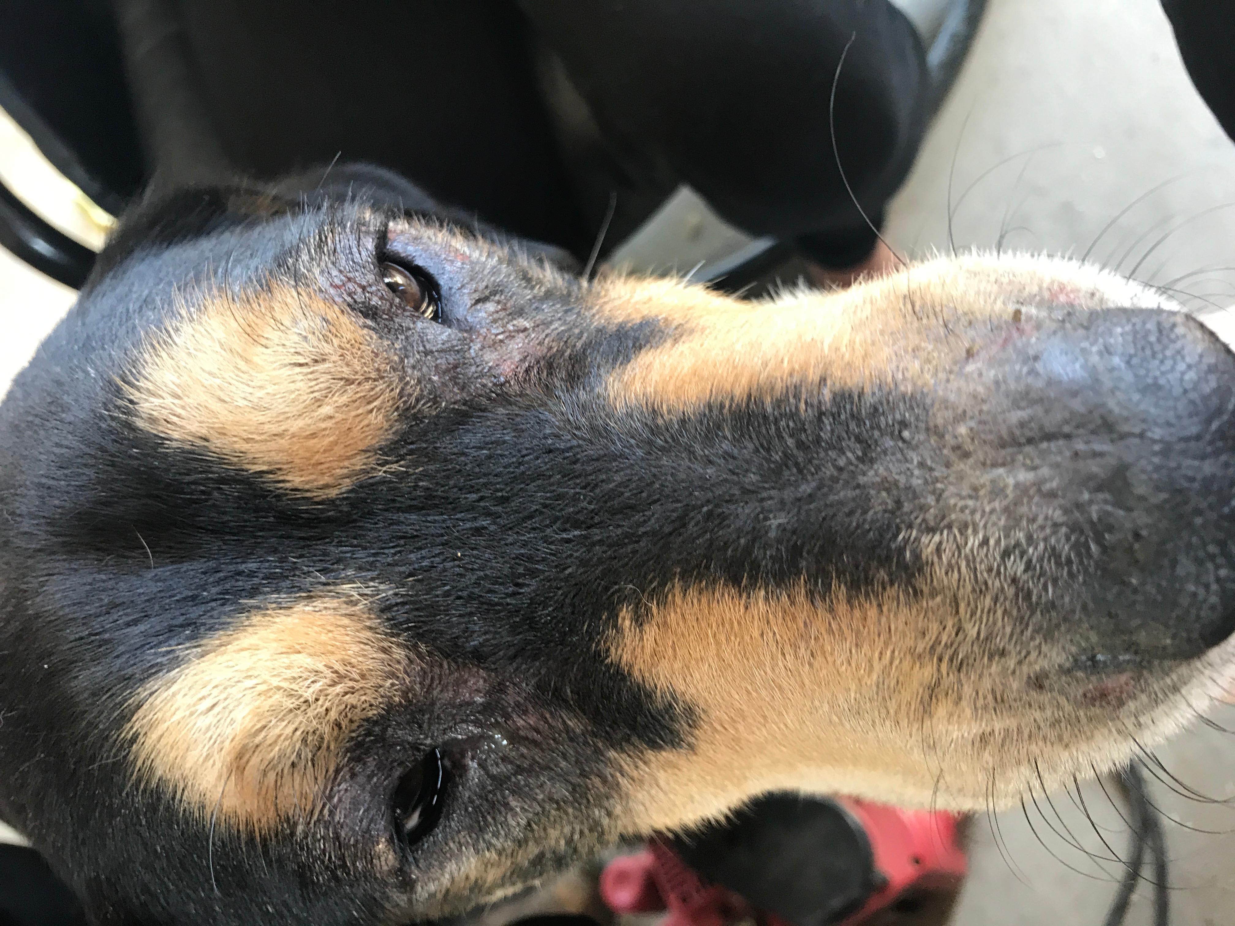 Question details sensitive content