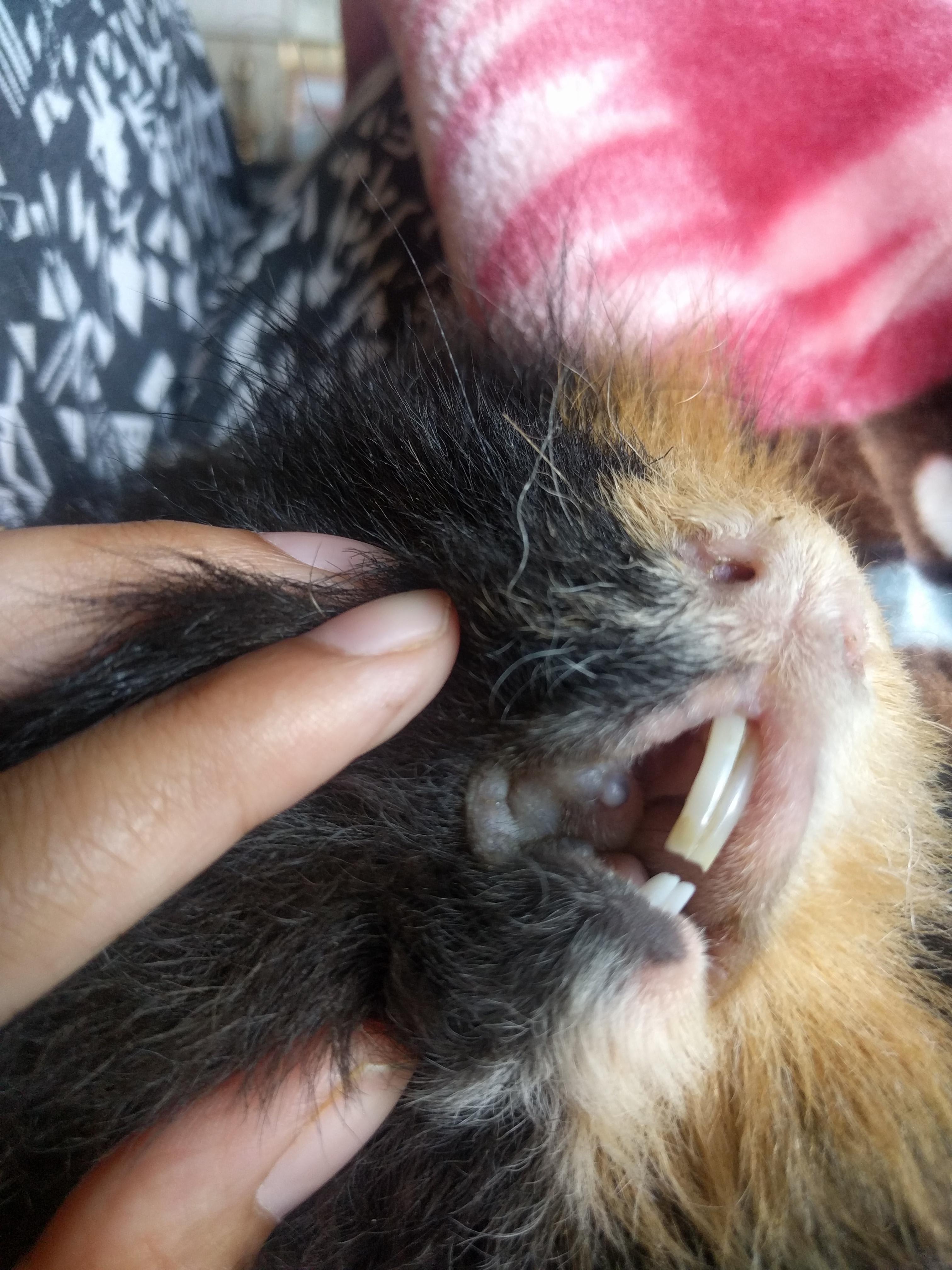 Question details sensitive content