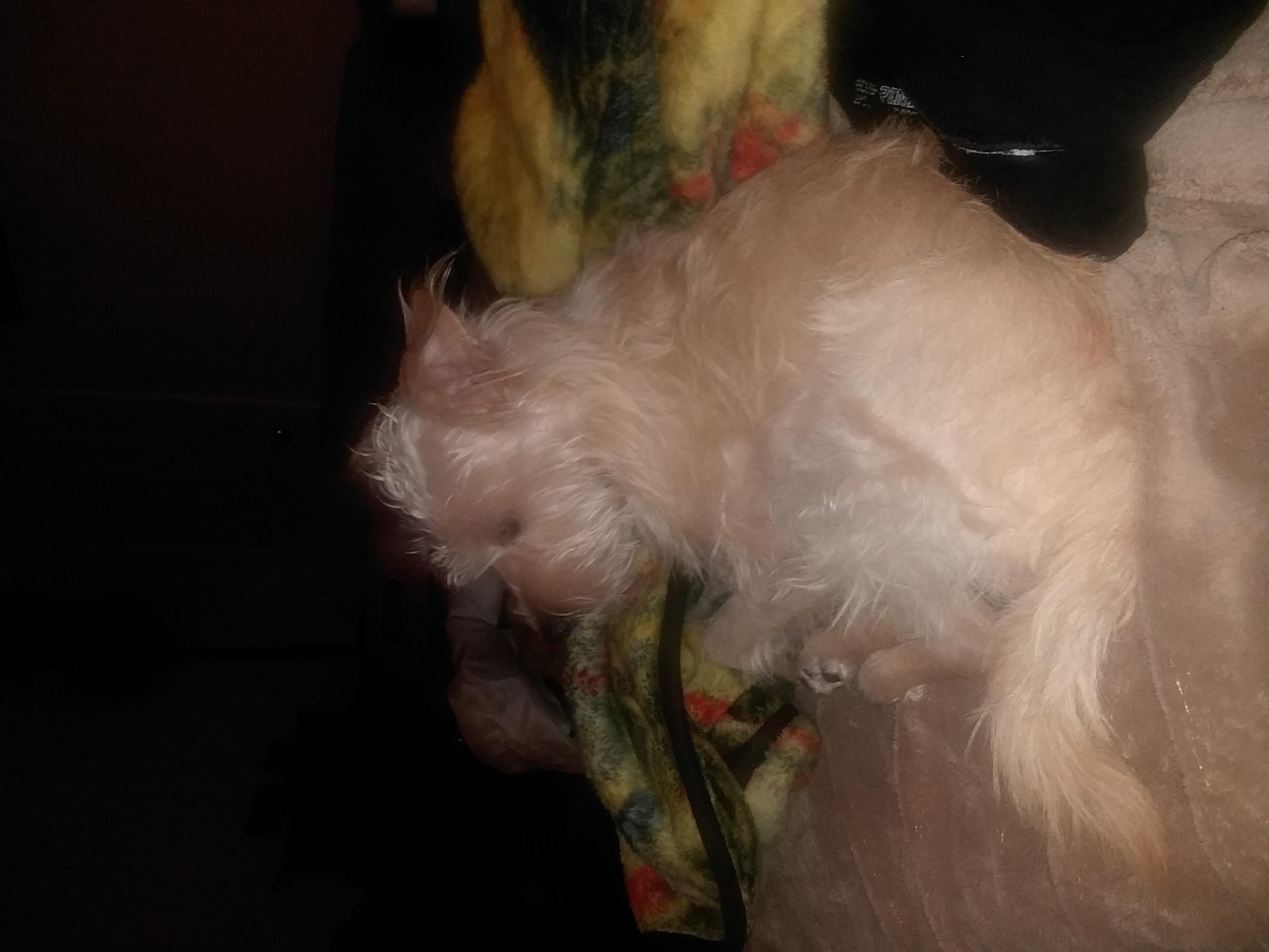 Question details sensitive content