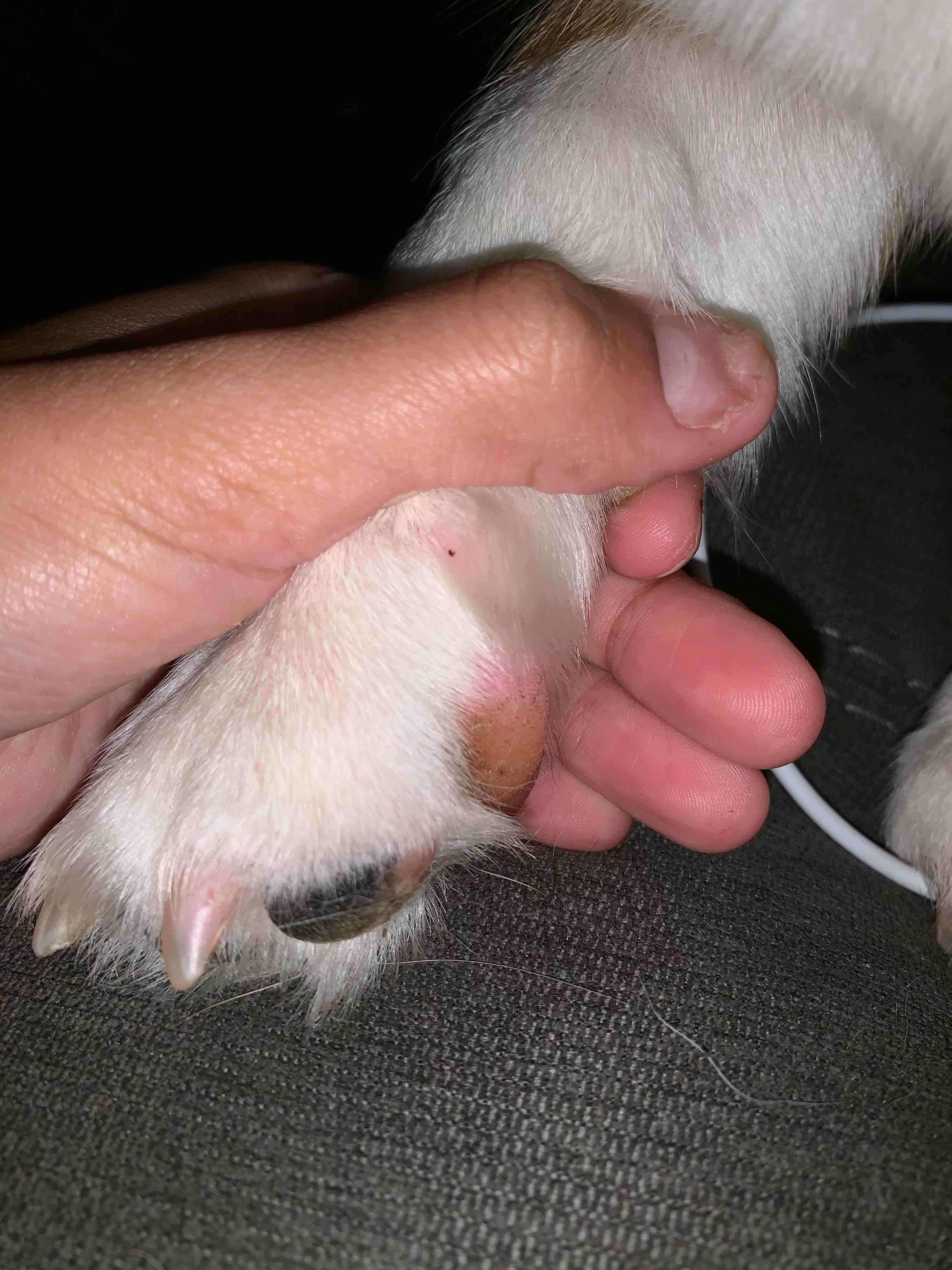 Question details sensitive content