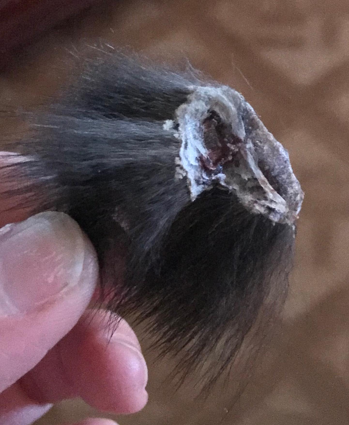 Question details sensitive content