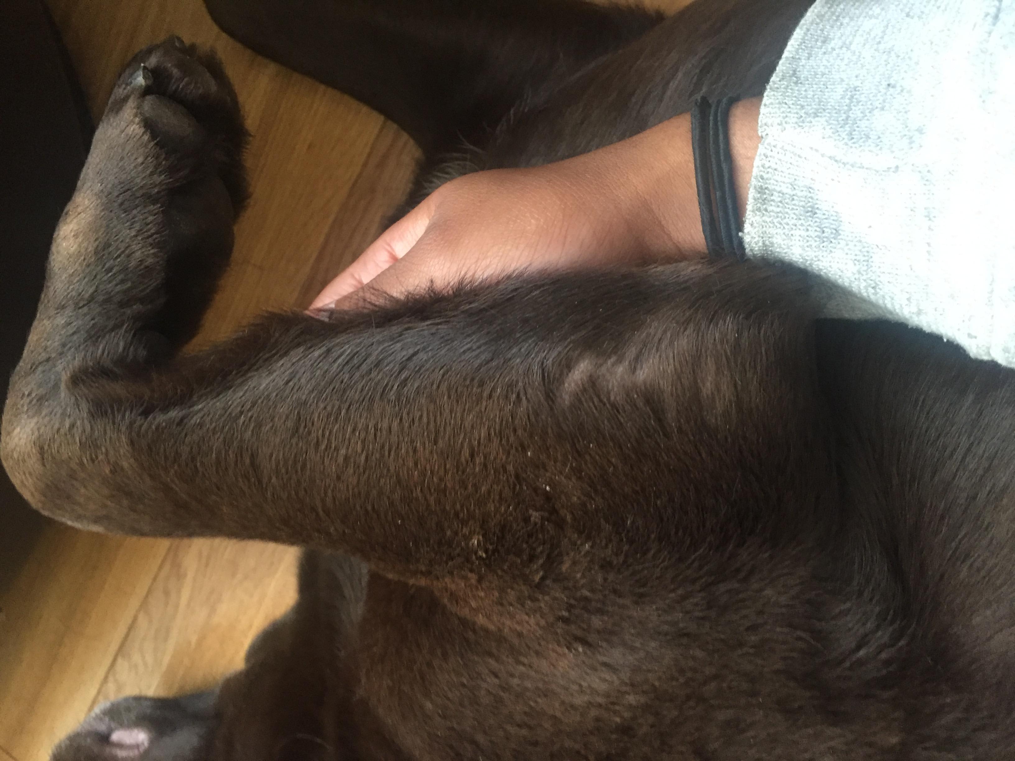 Question details sensitive content