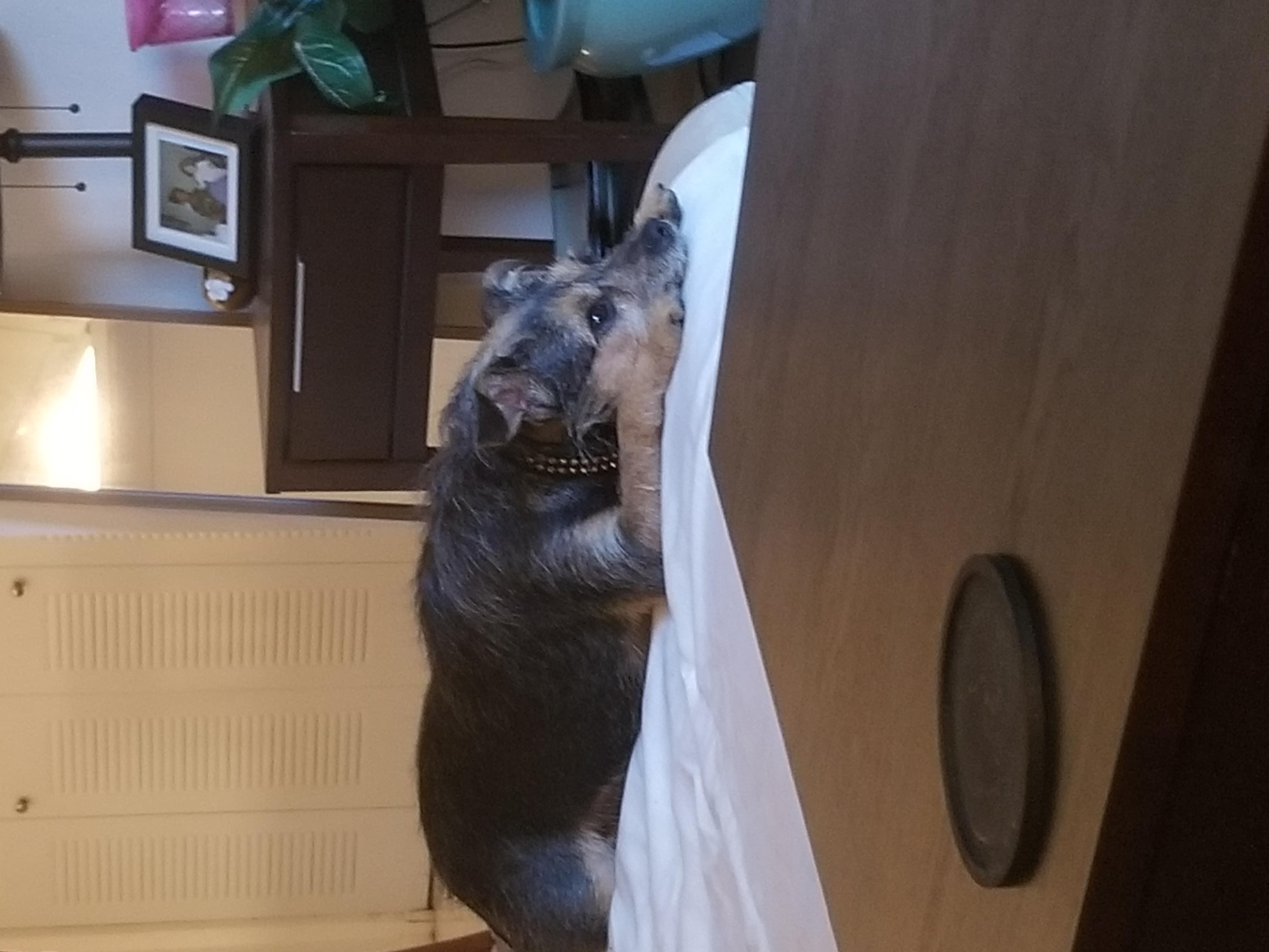 Question details sensitive content