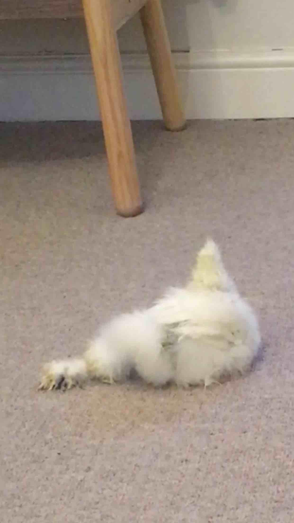 Question details sensitive content