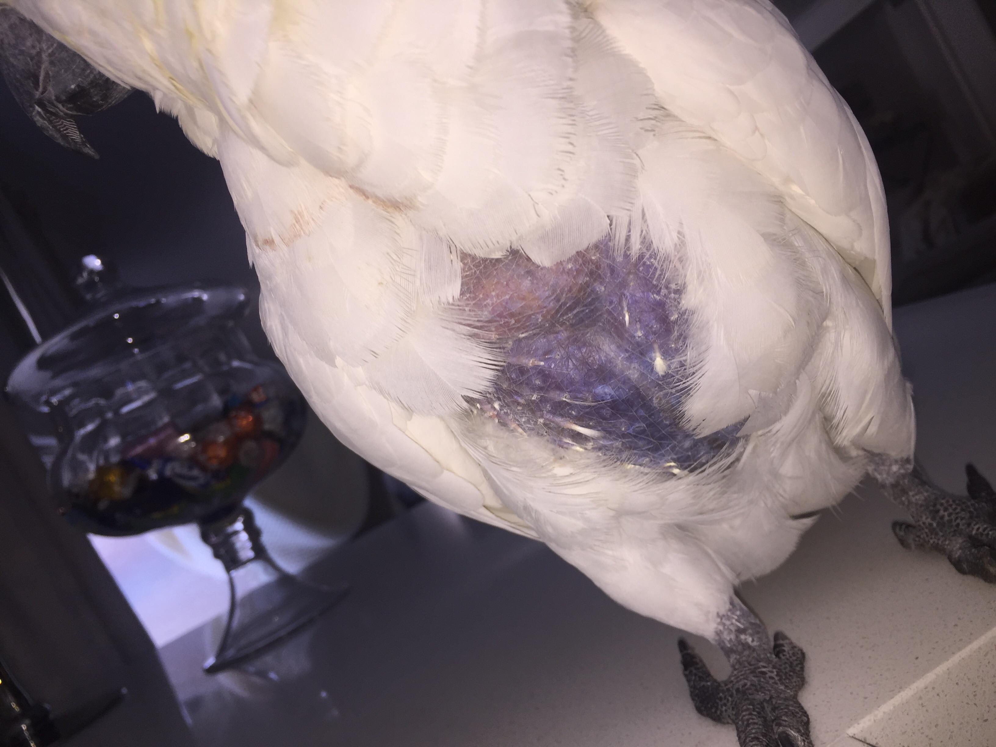 Question details sensitive content