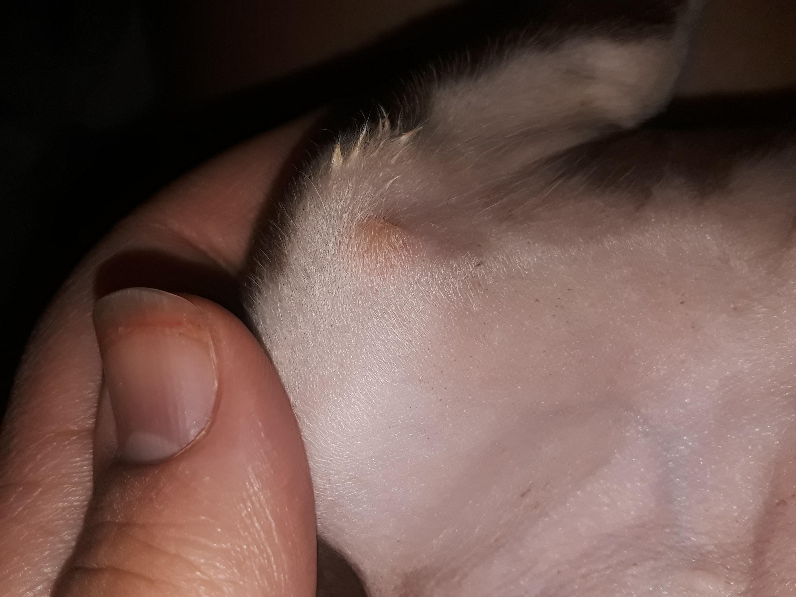 Question details sensitive content