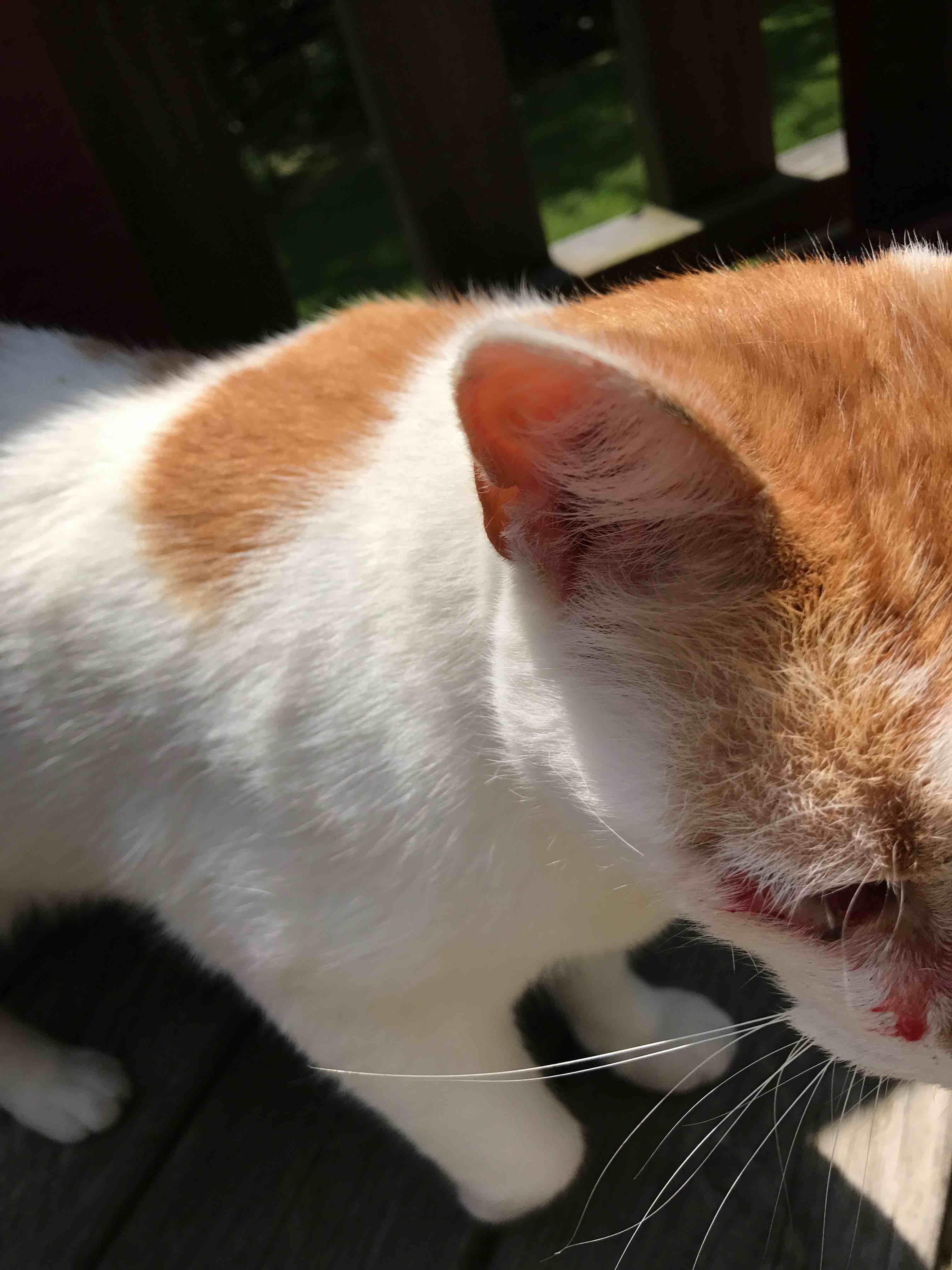 Question details sensitive content