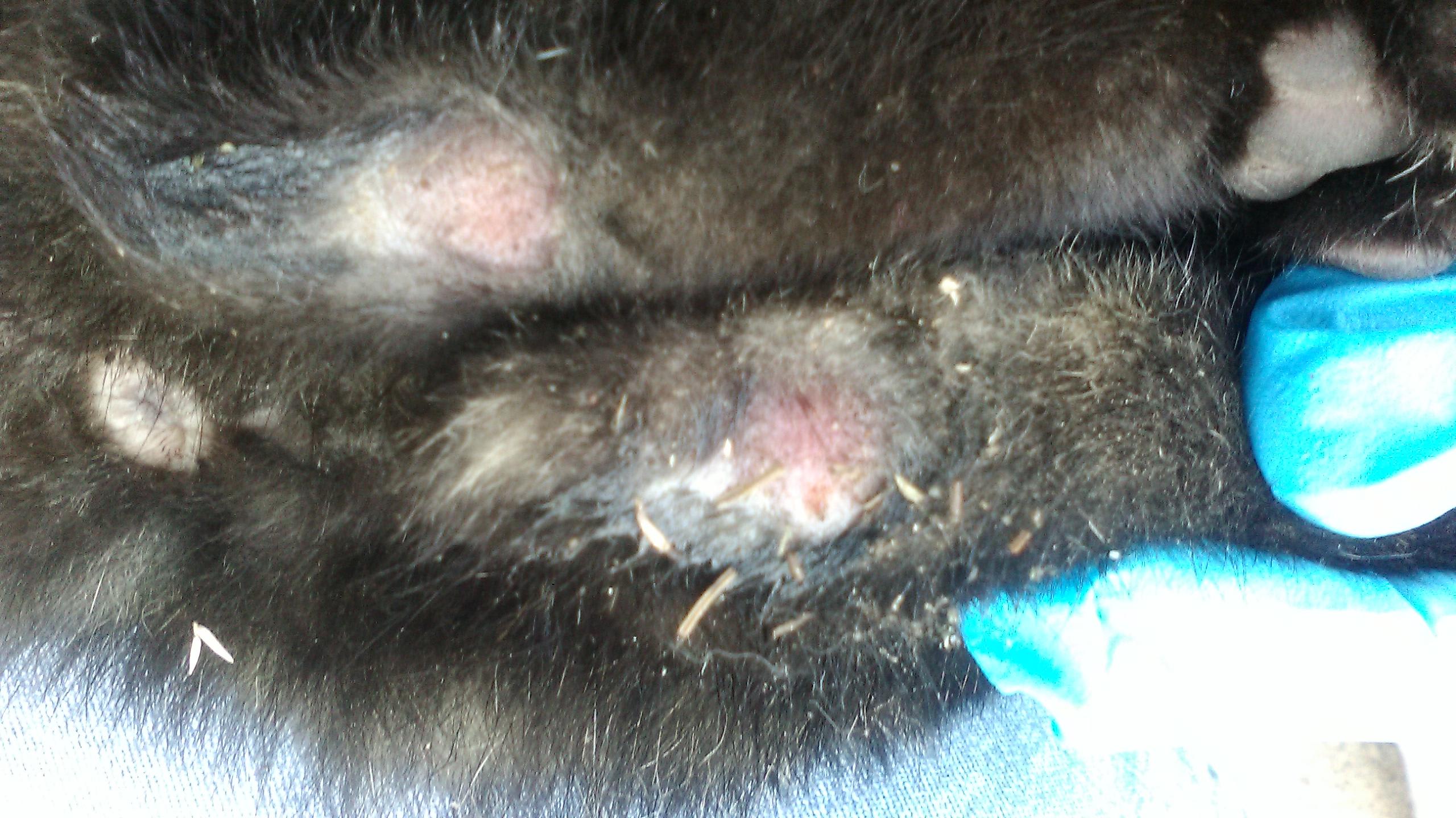 Question details sensitive content