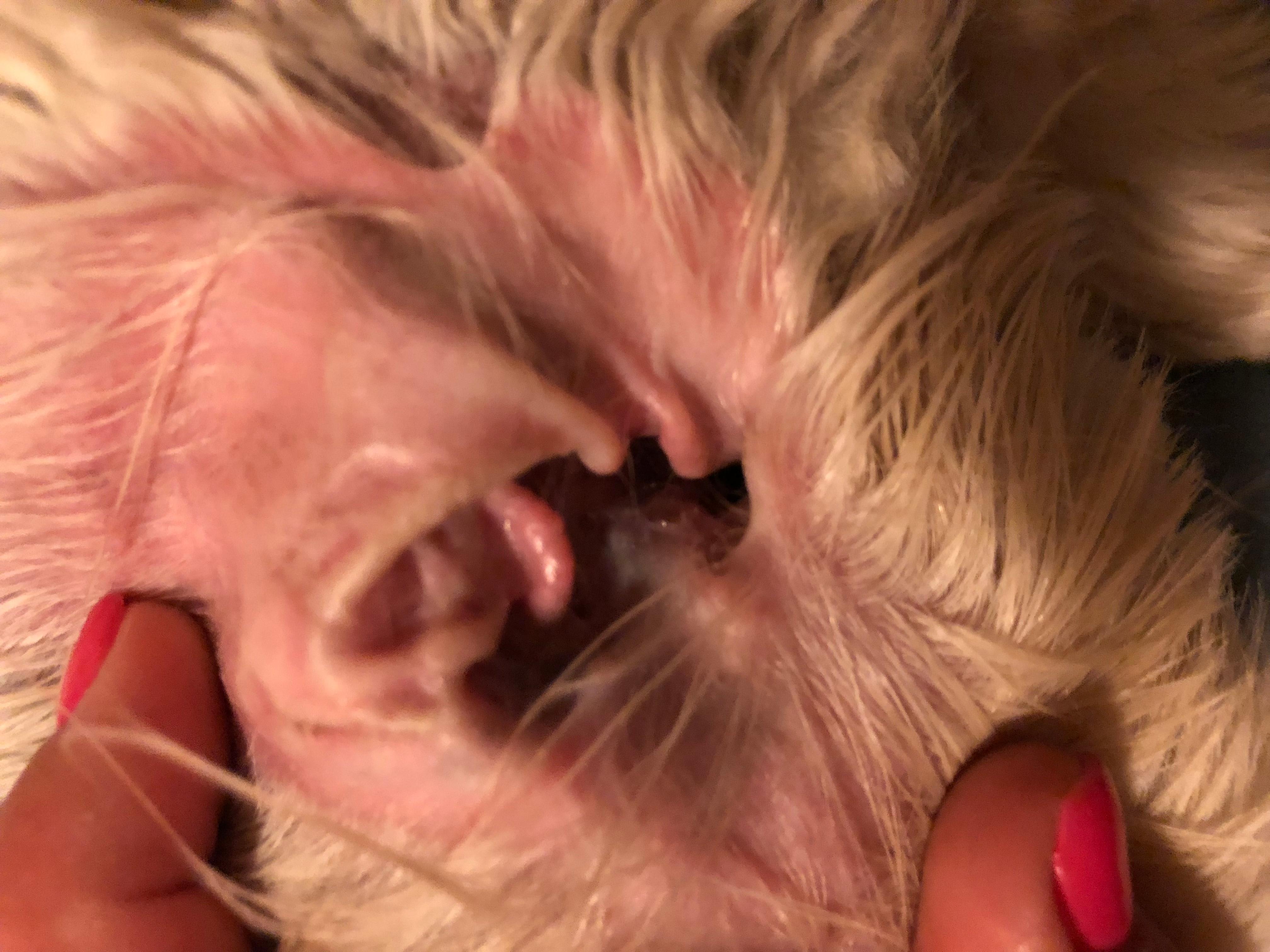 Question details sensitive content