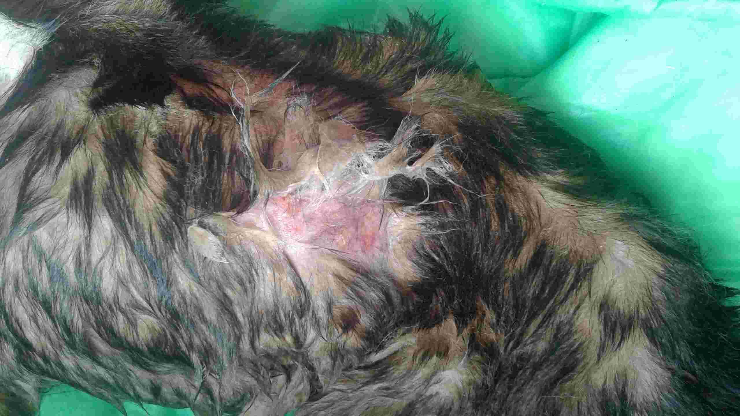 Question details sensitive content