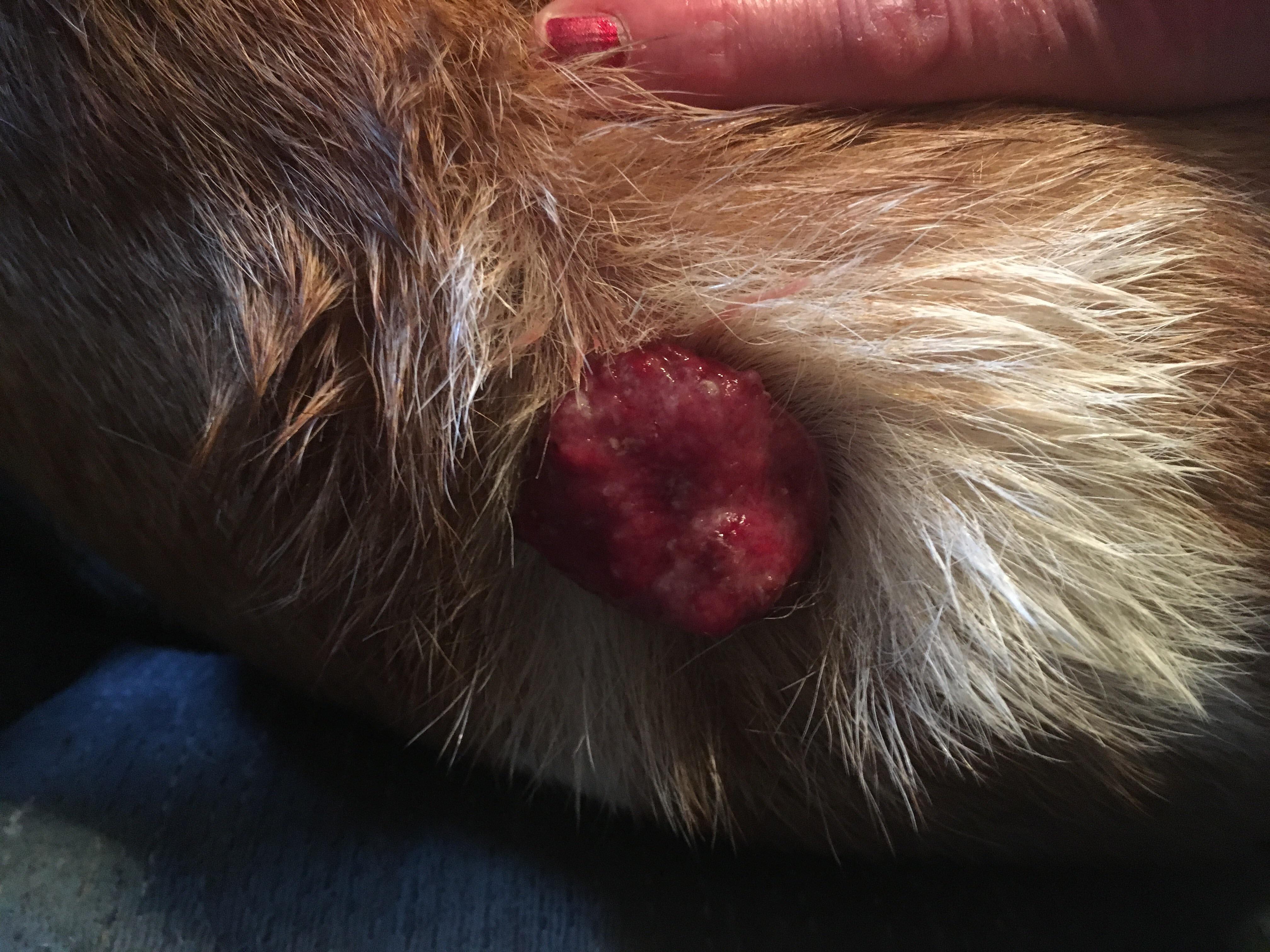 Question details sensitive content