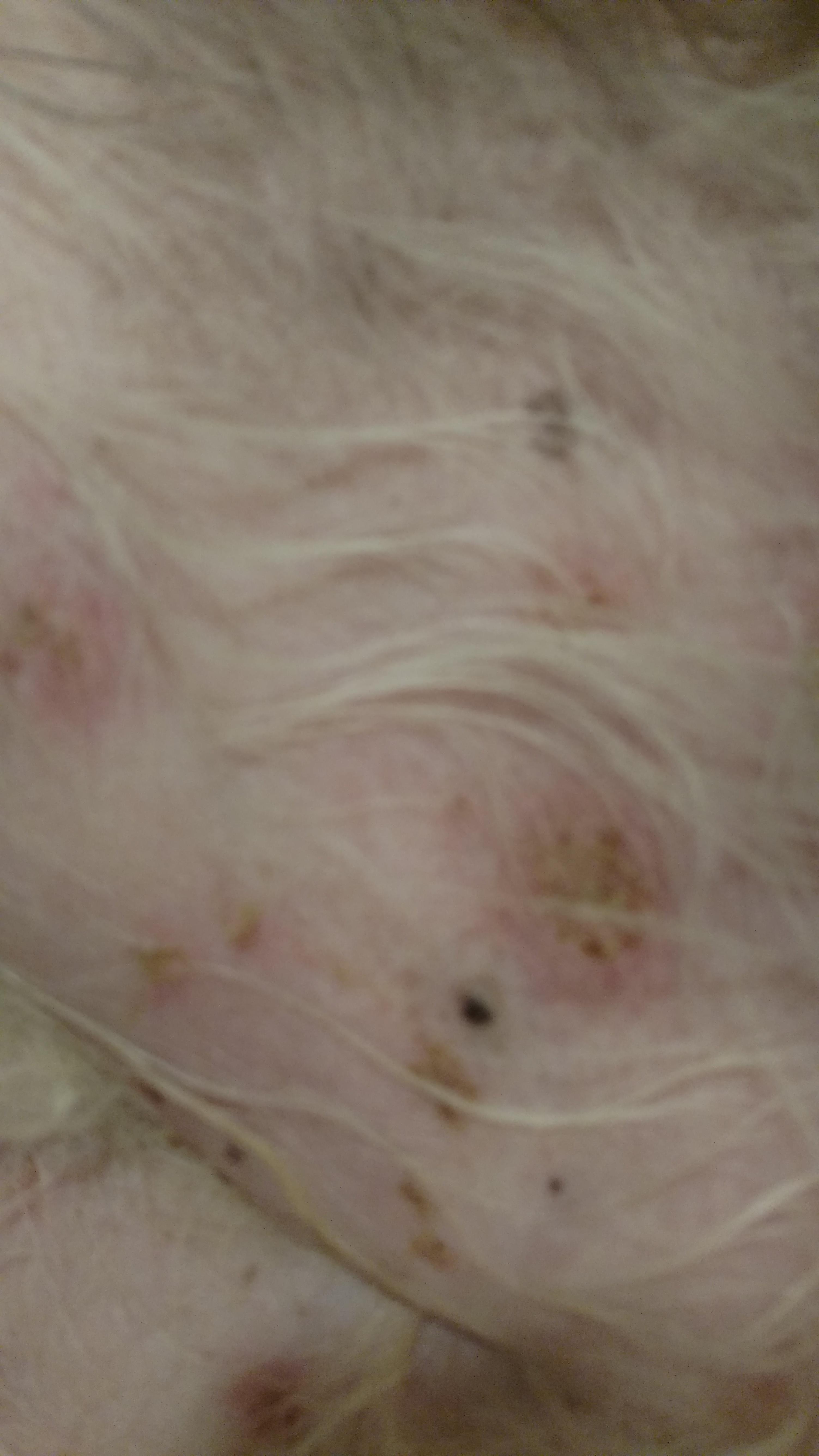 Question details sensitive content