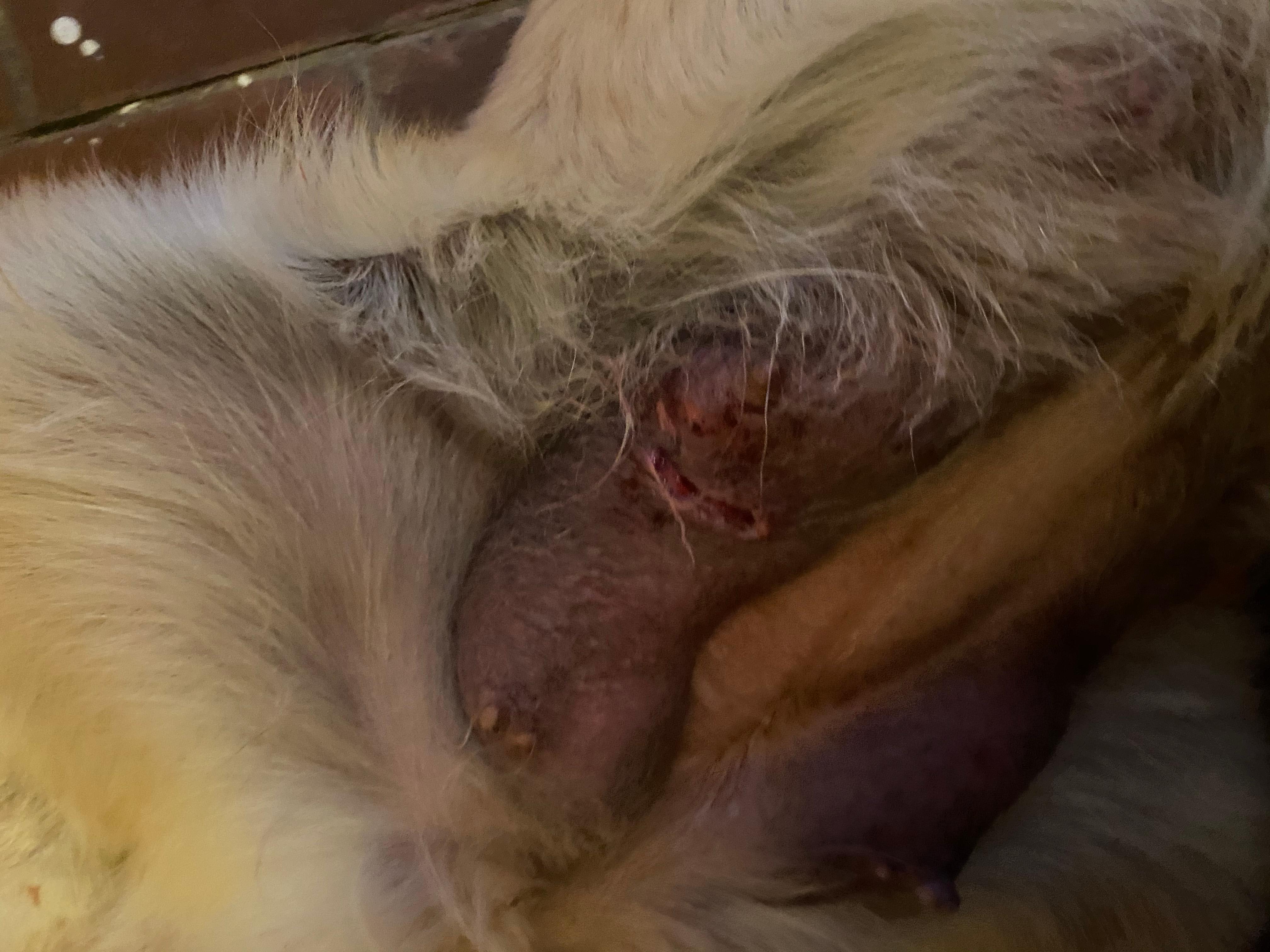 Question details sensitive content