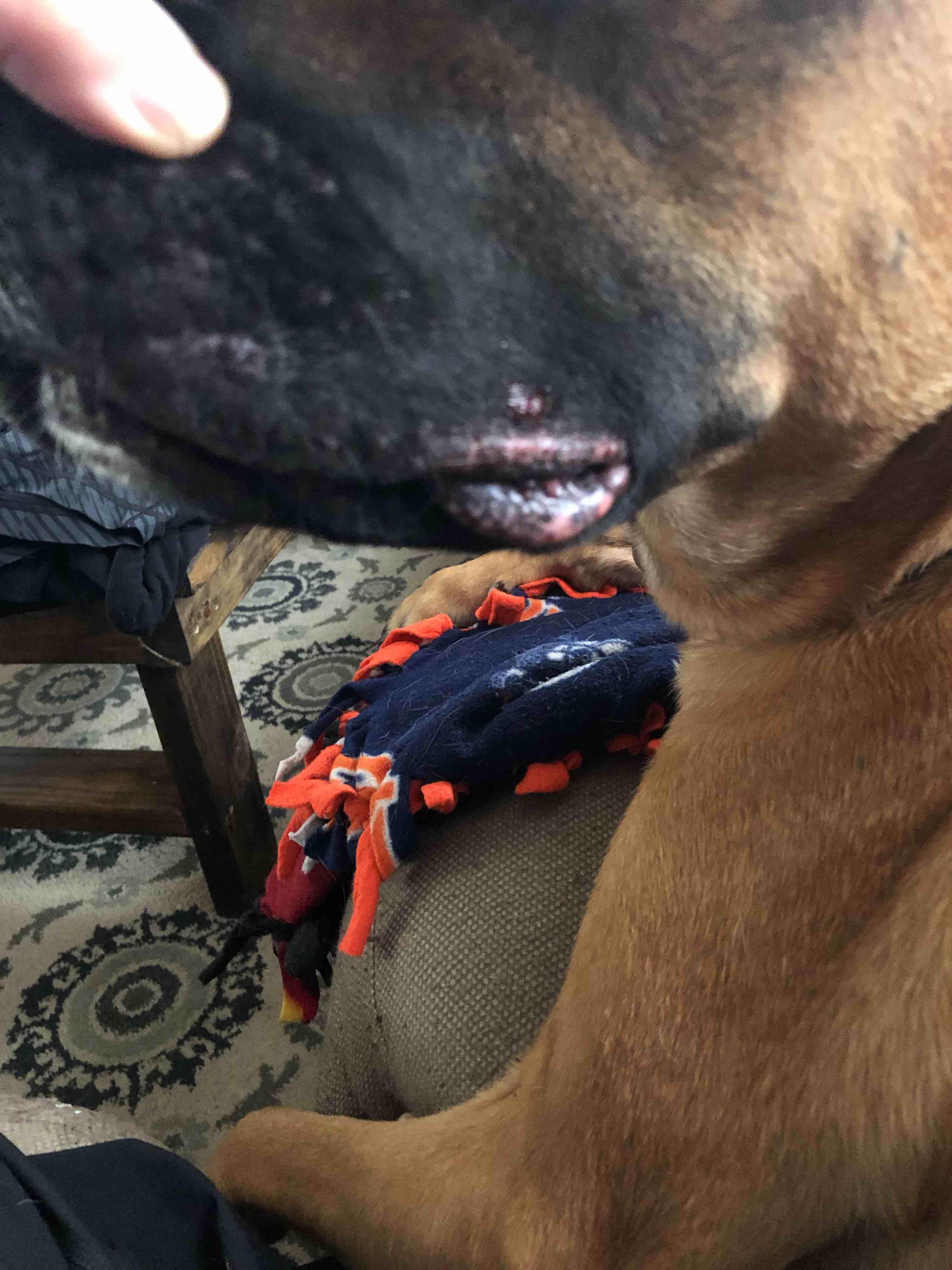 Question details sensitive content