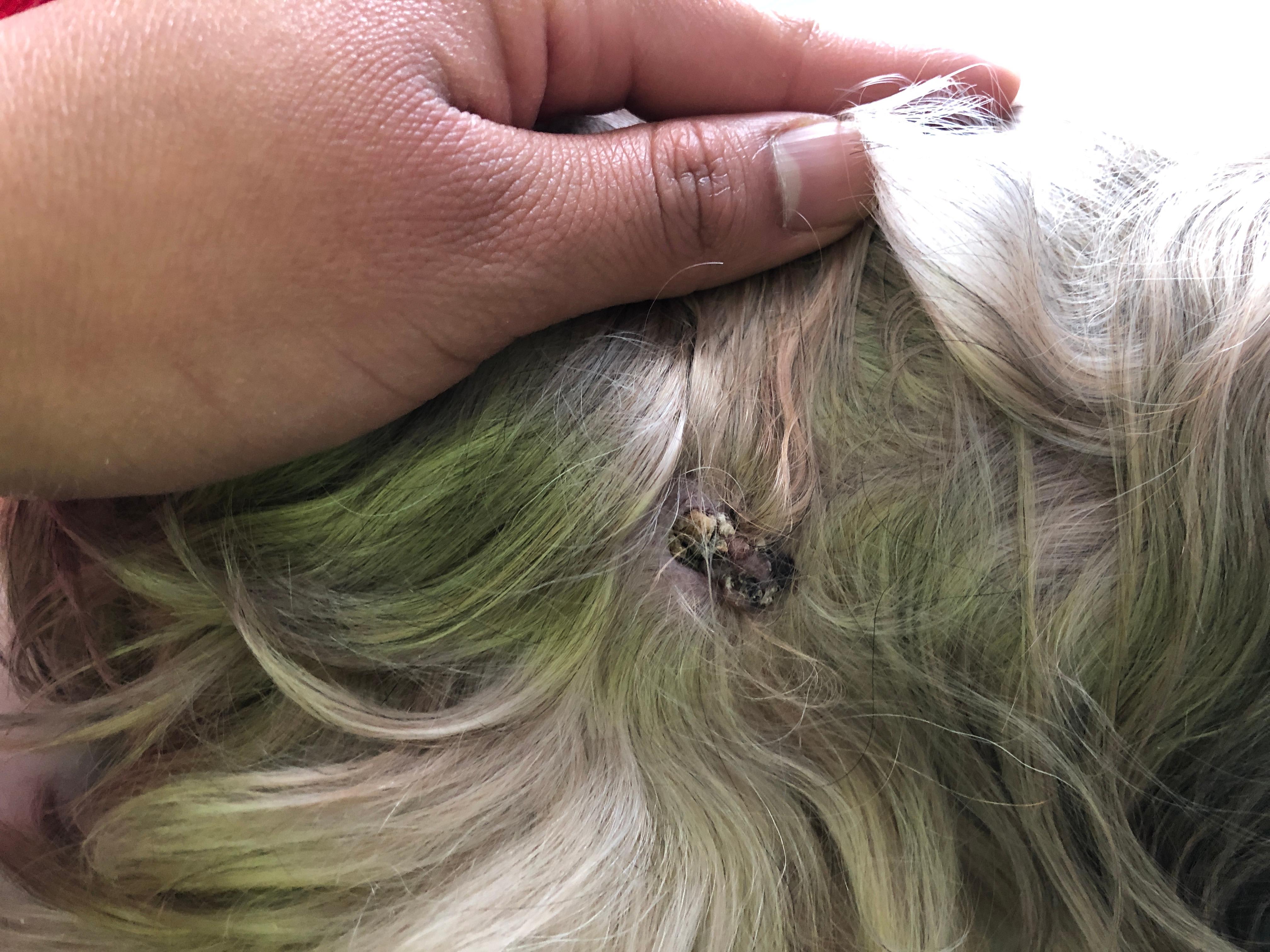 Question details sensitive content