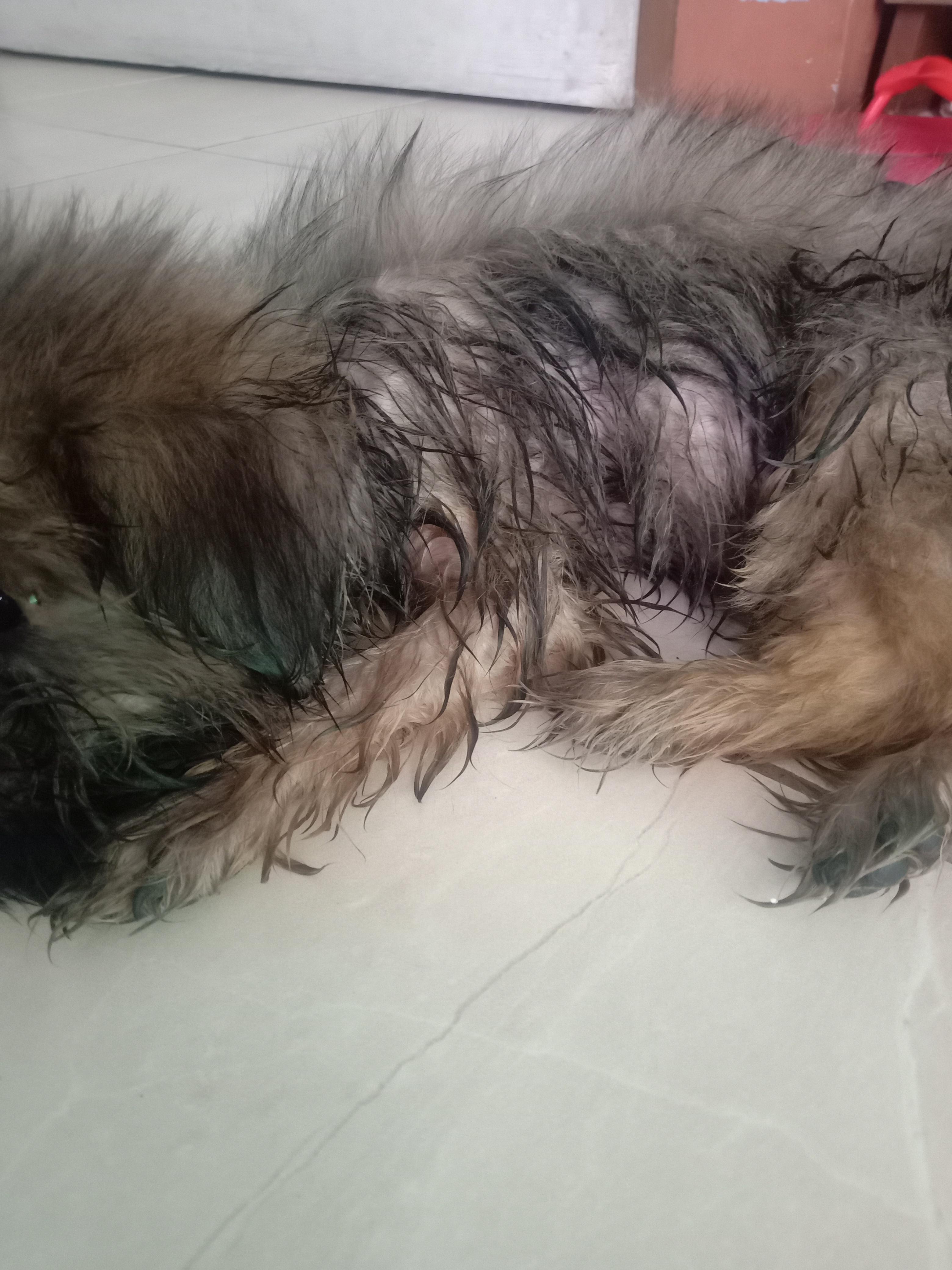 Question details sensitive content