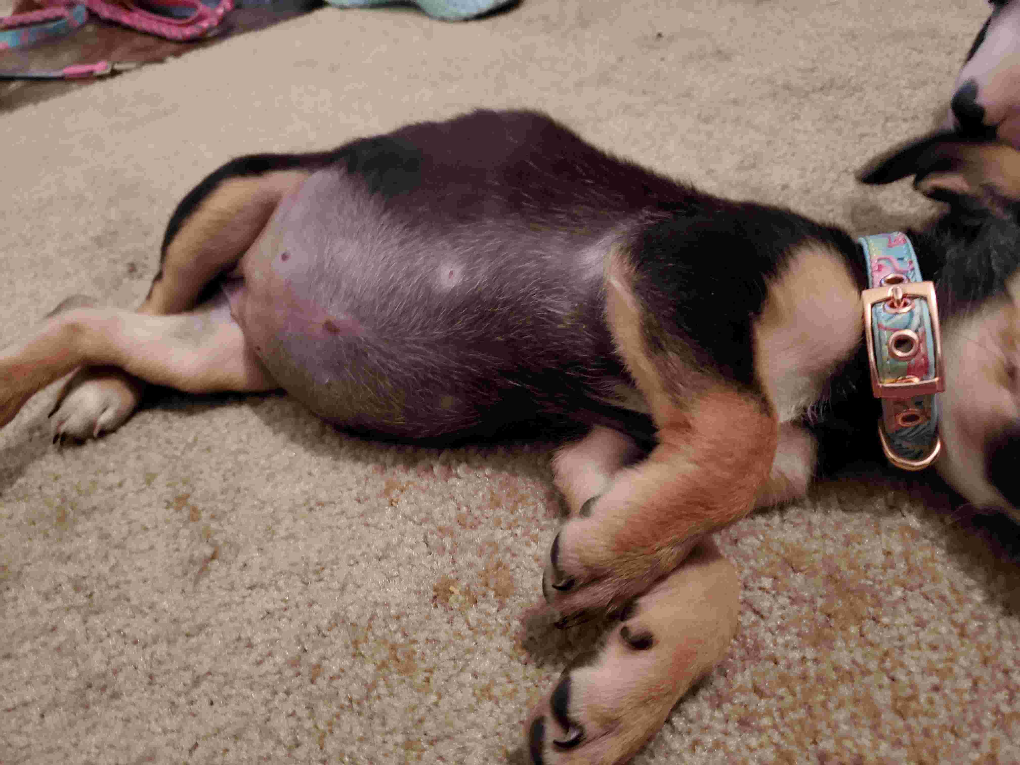 Question details sensitive content