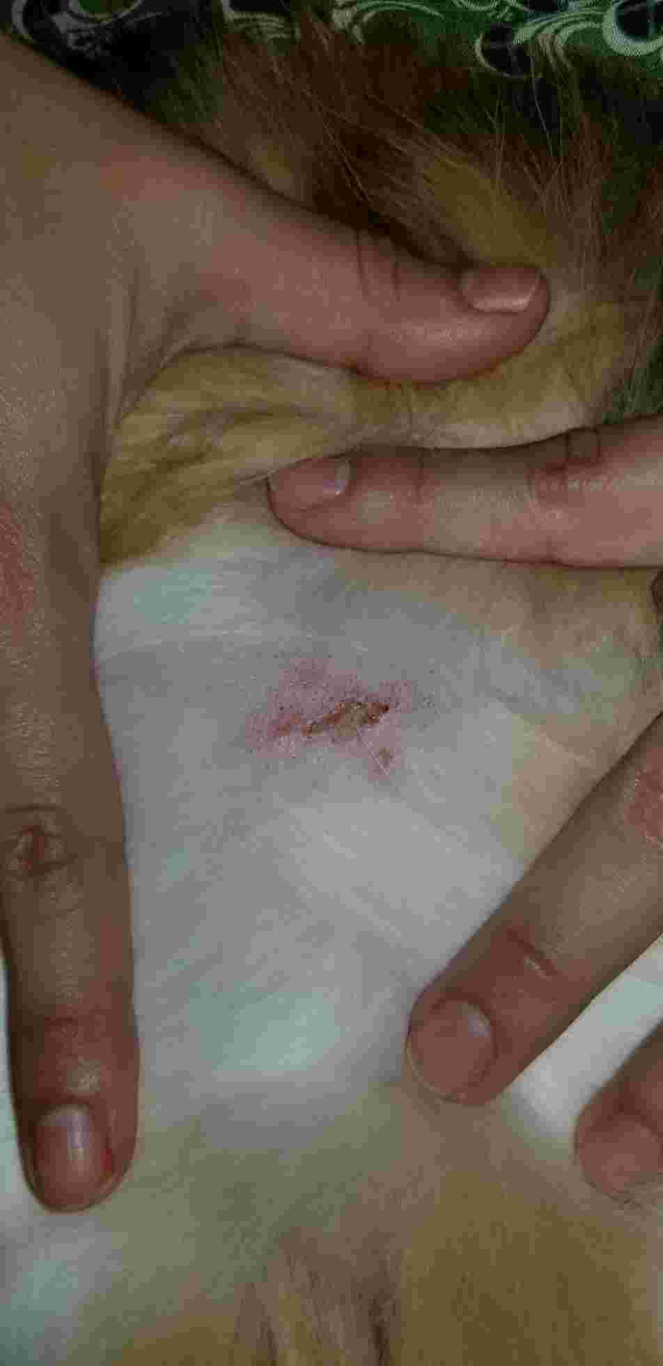 Question details sensitive content