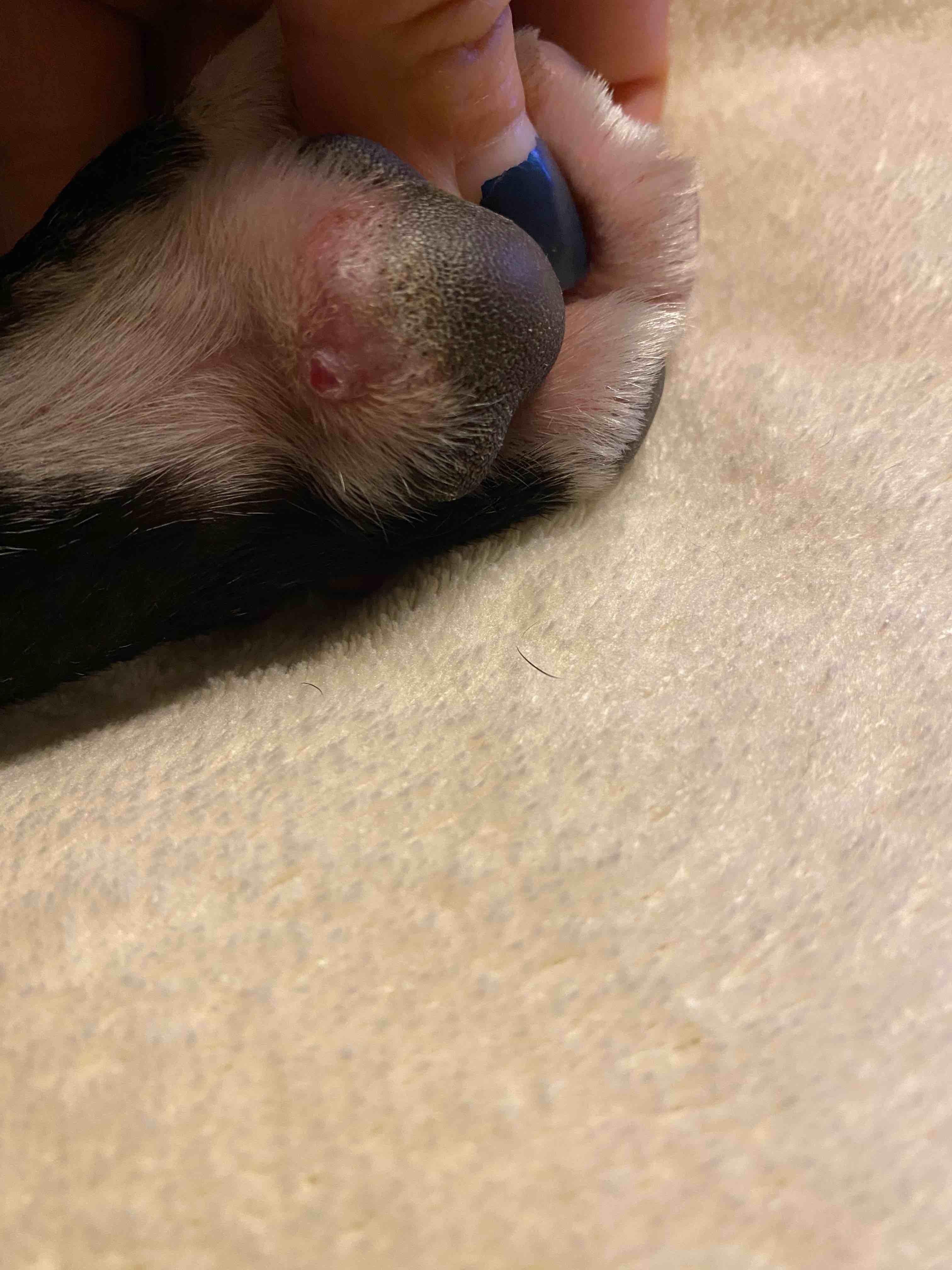 Question details sensitive content