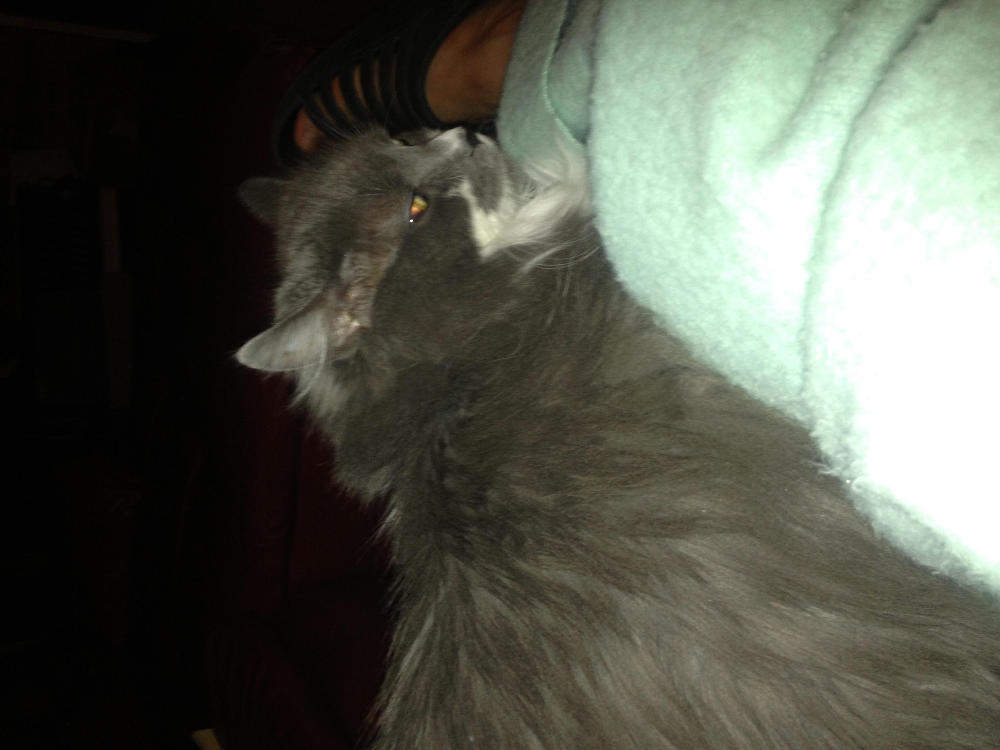 Question details sensitive content