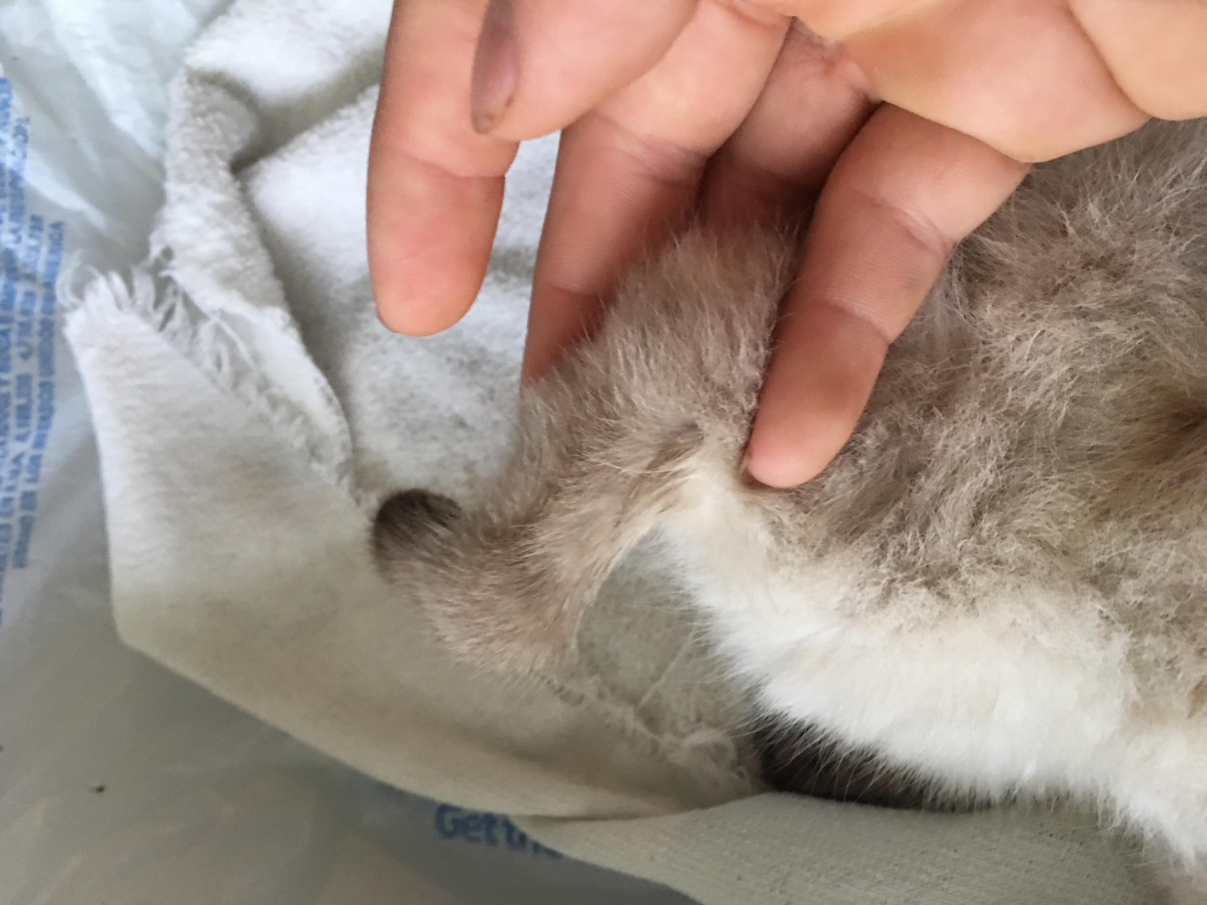 Question details sensitive content