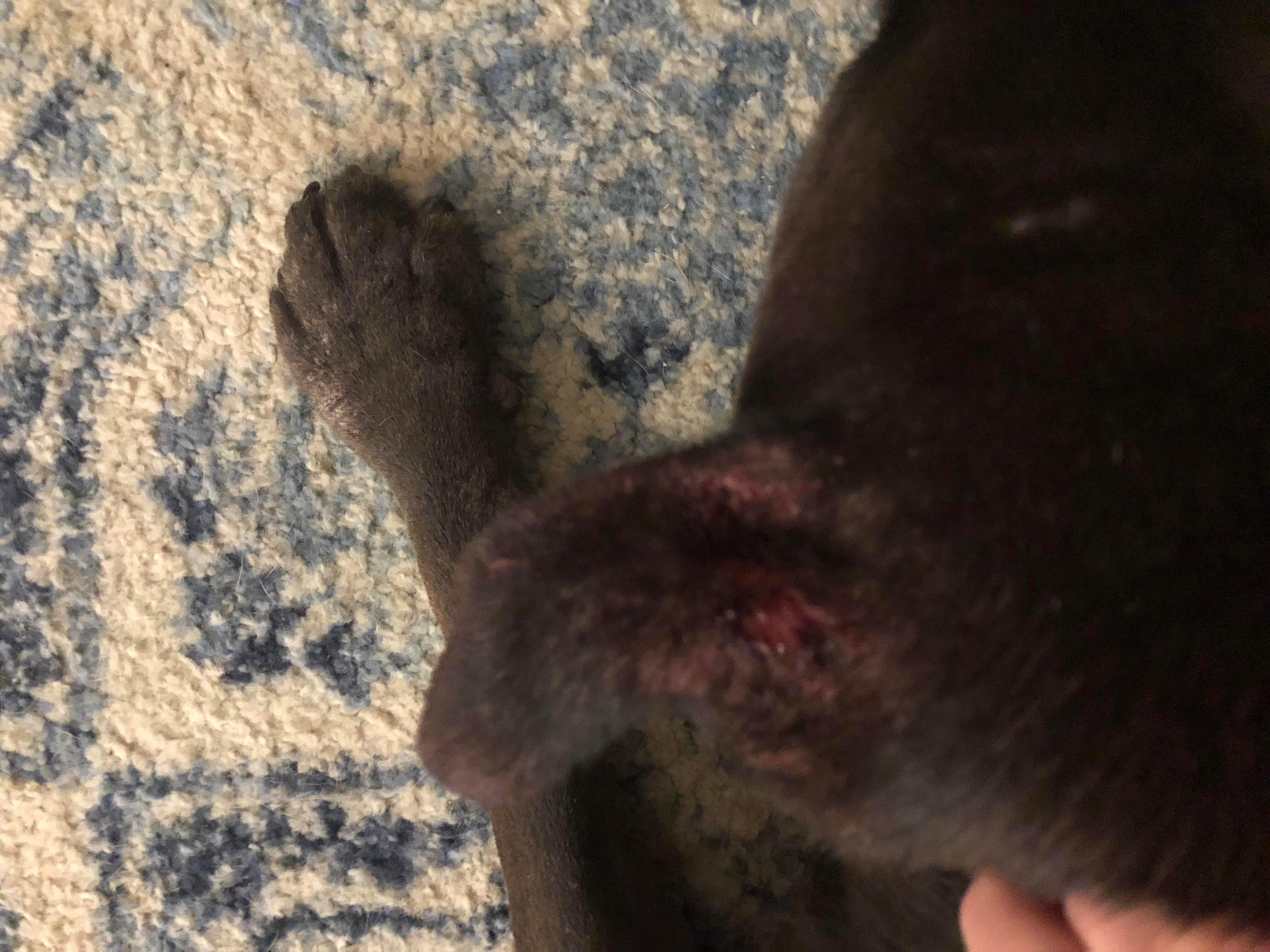 Question details sensitive content