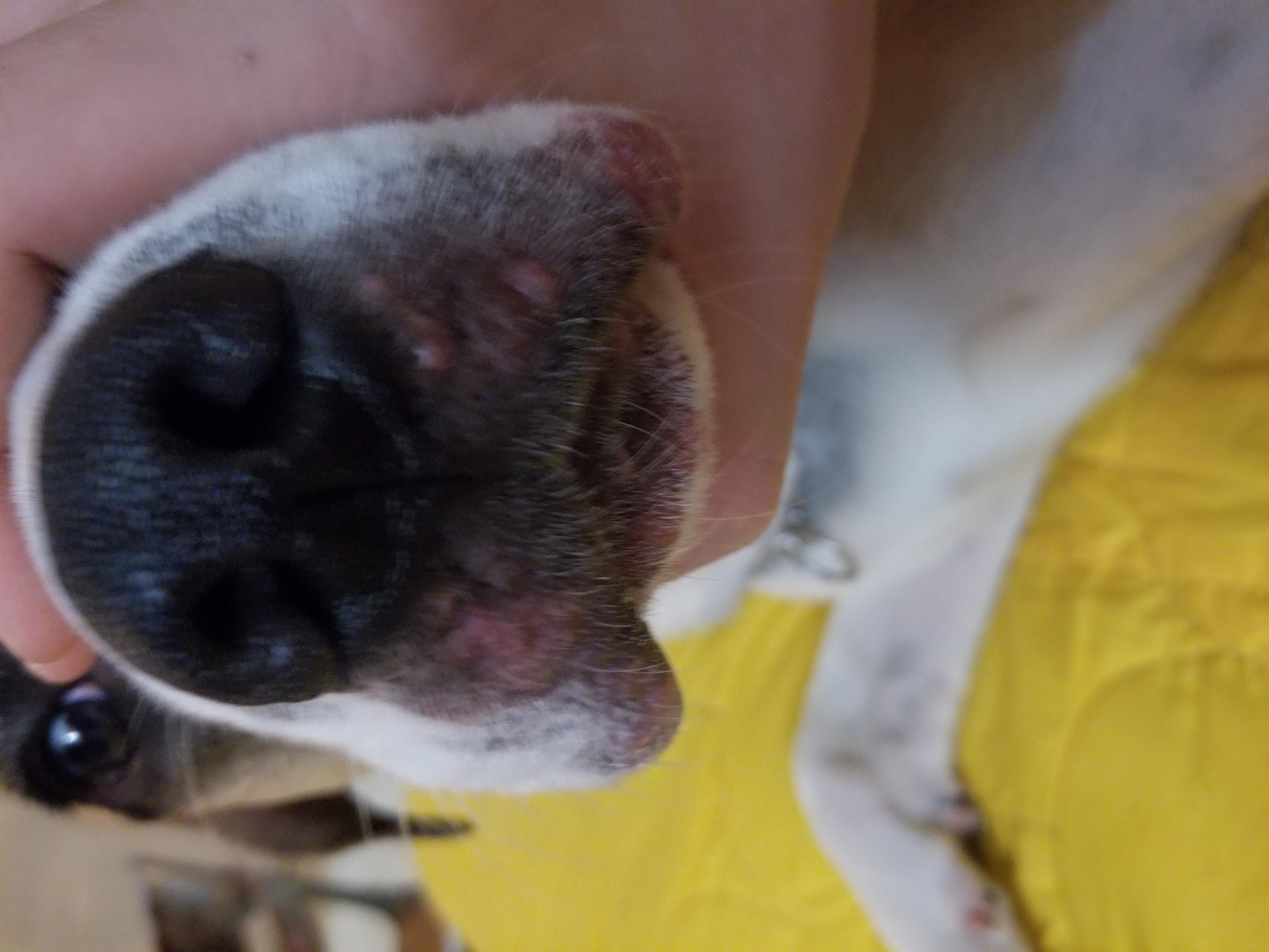 Question details sensitive content