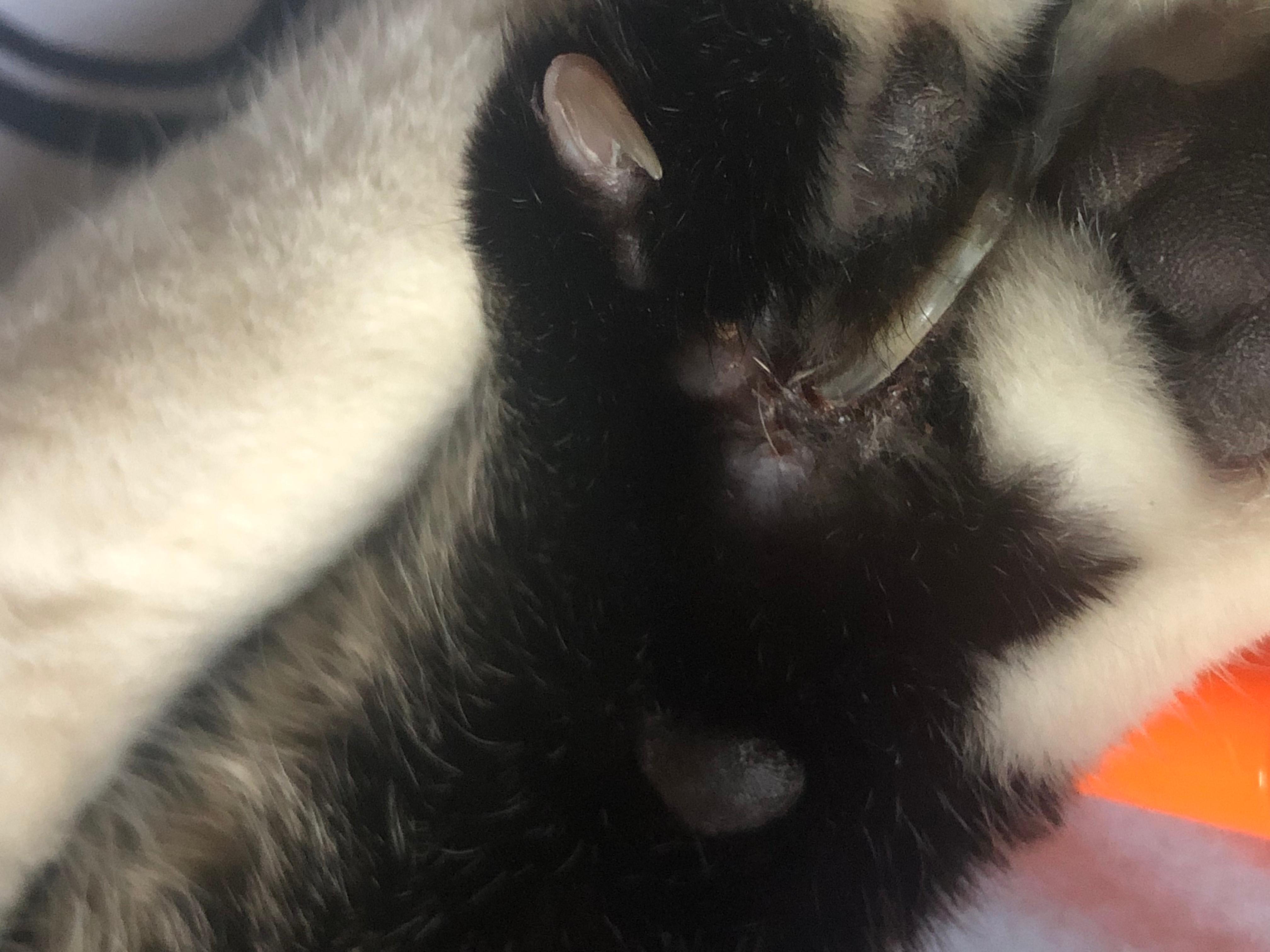 Question details sensitive content