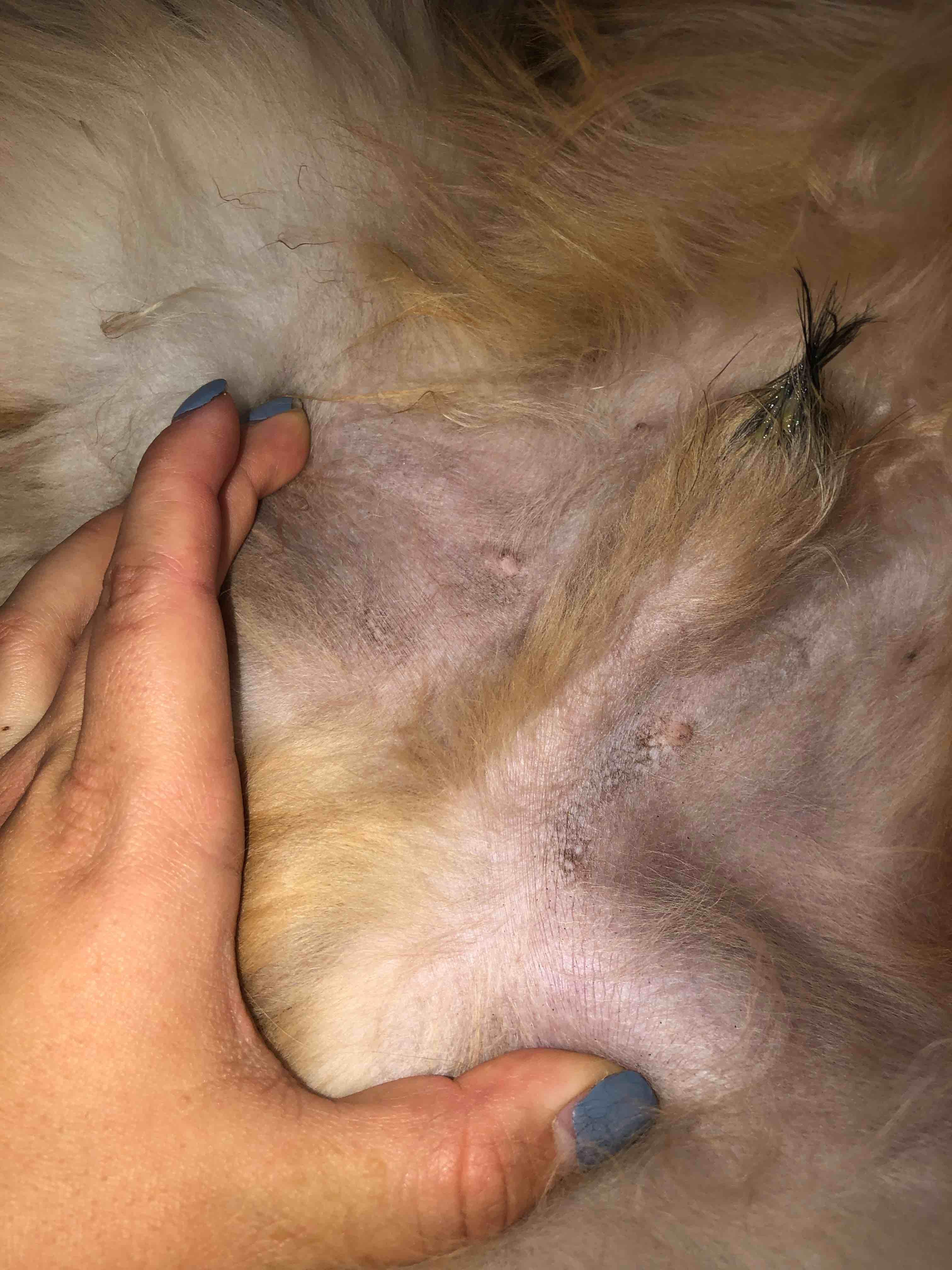 Question details sensitive content