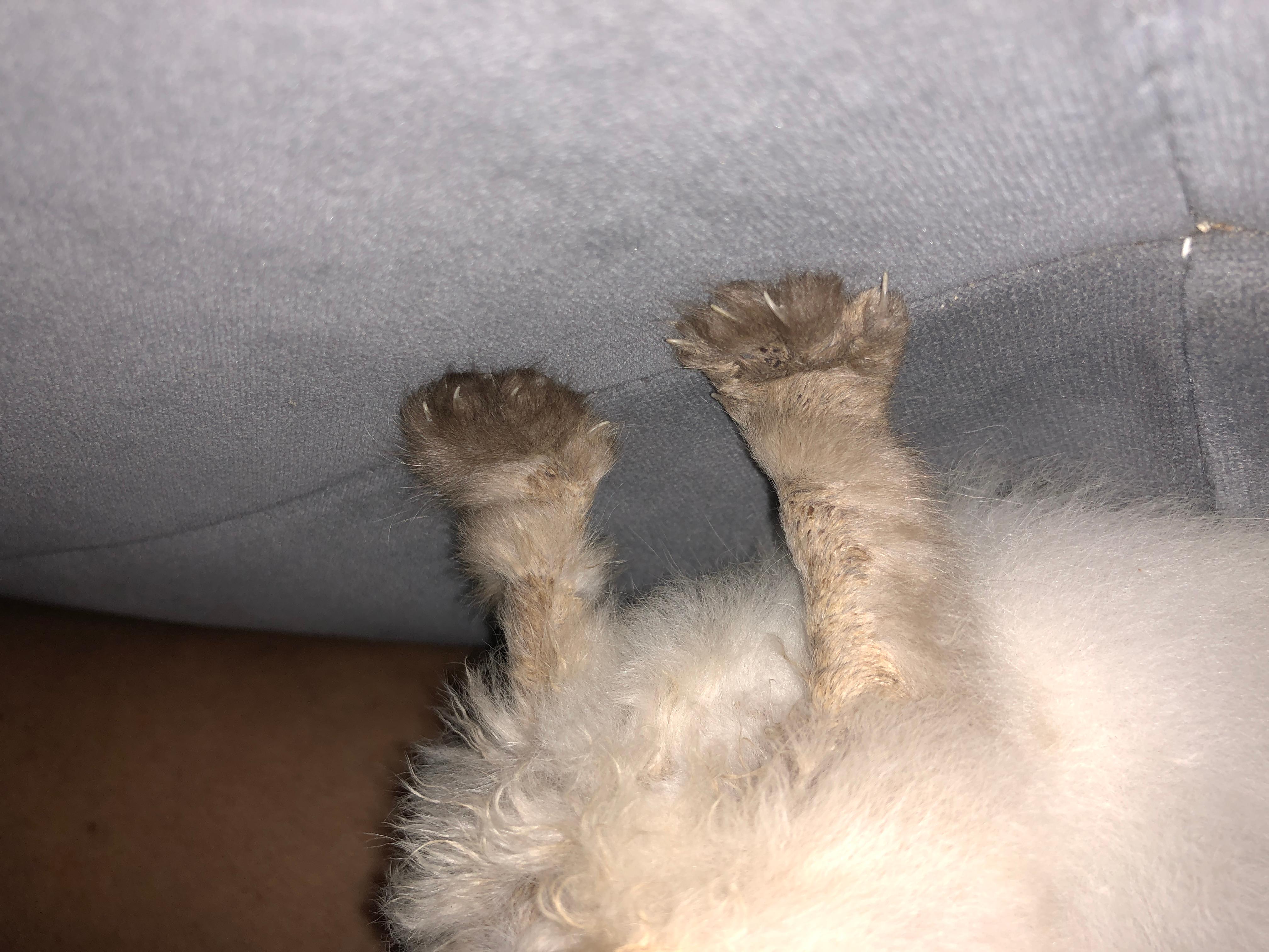 Question details sensitive content