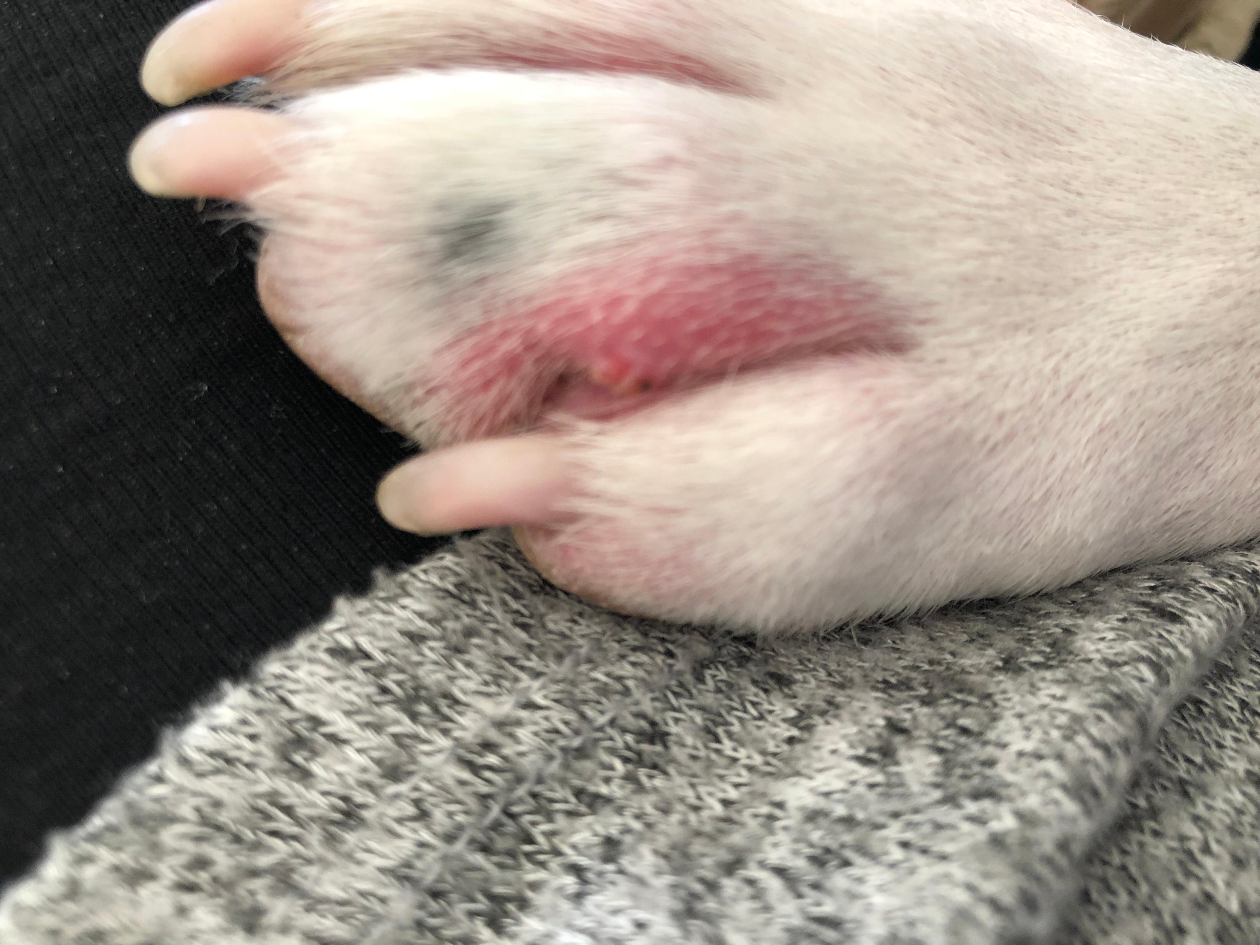 Question details sensitive content