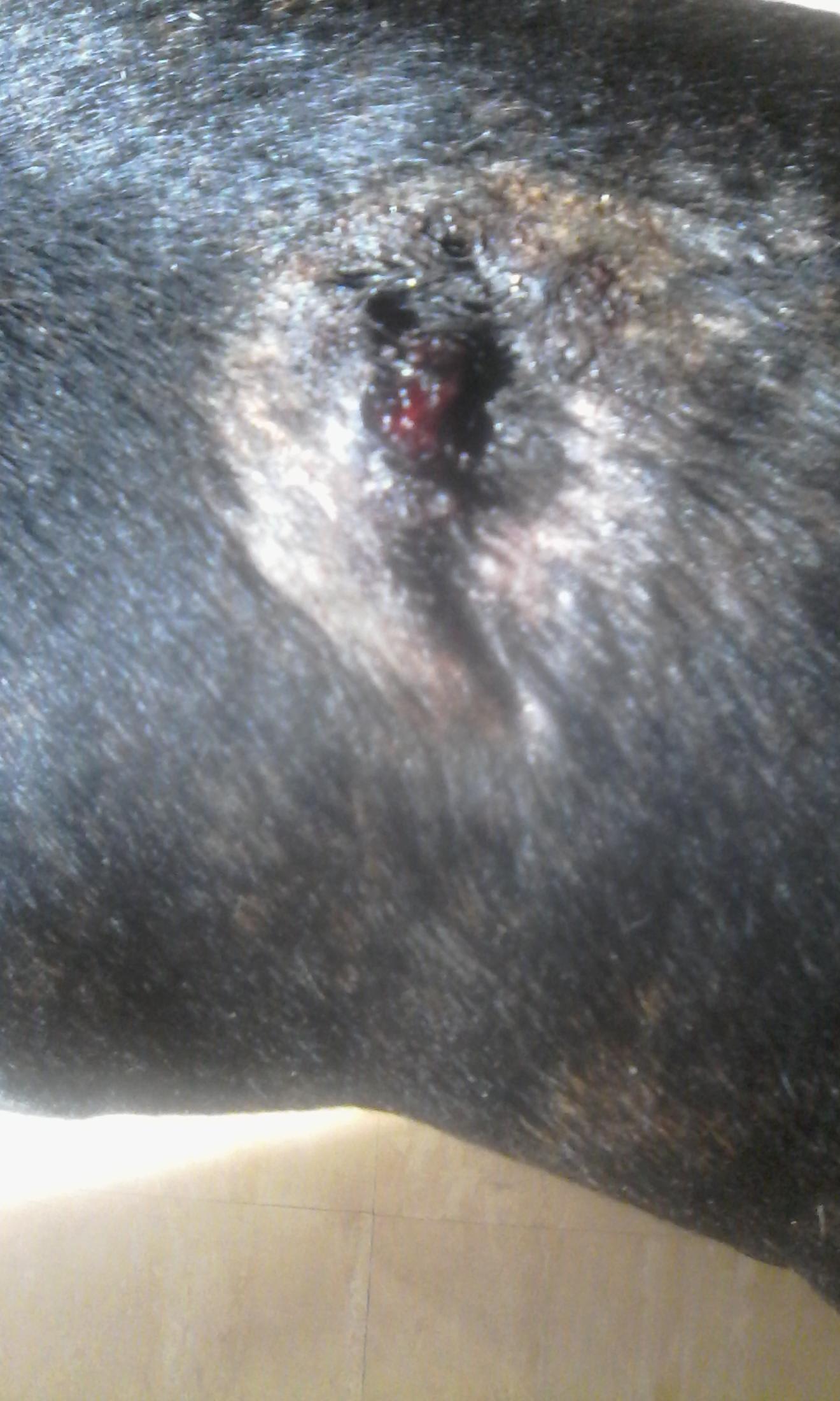 Question details sensitive content