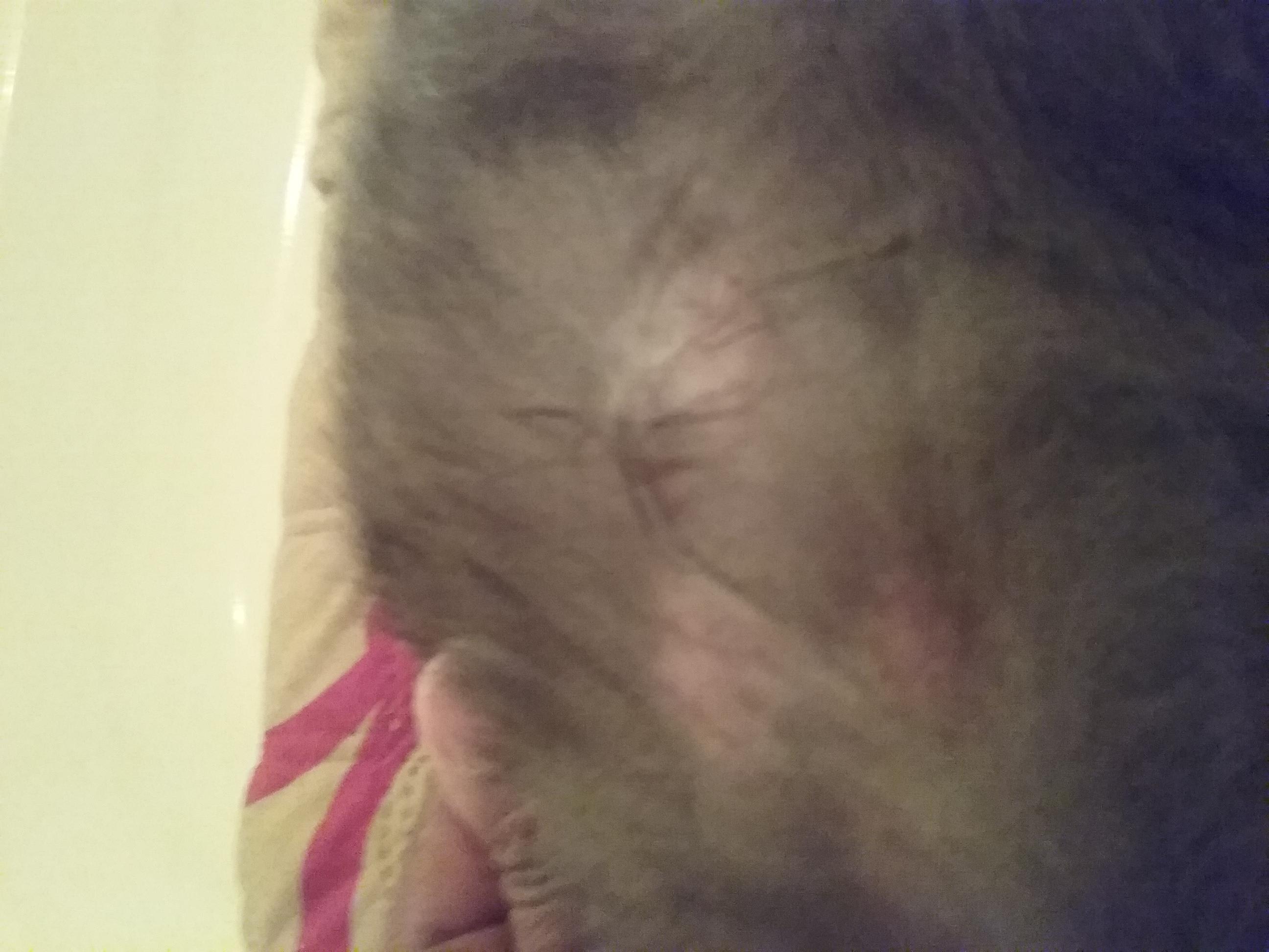 Question details sensitive content